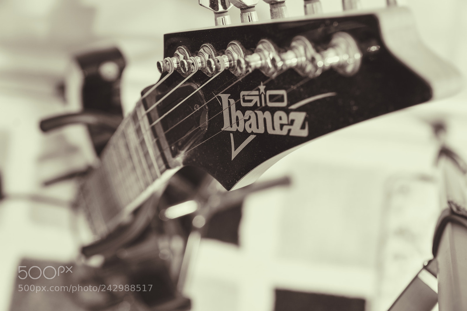 Nikon D7200 sample photo. Ibanez photography