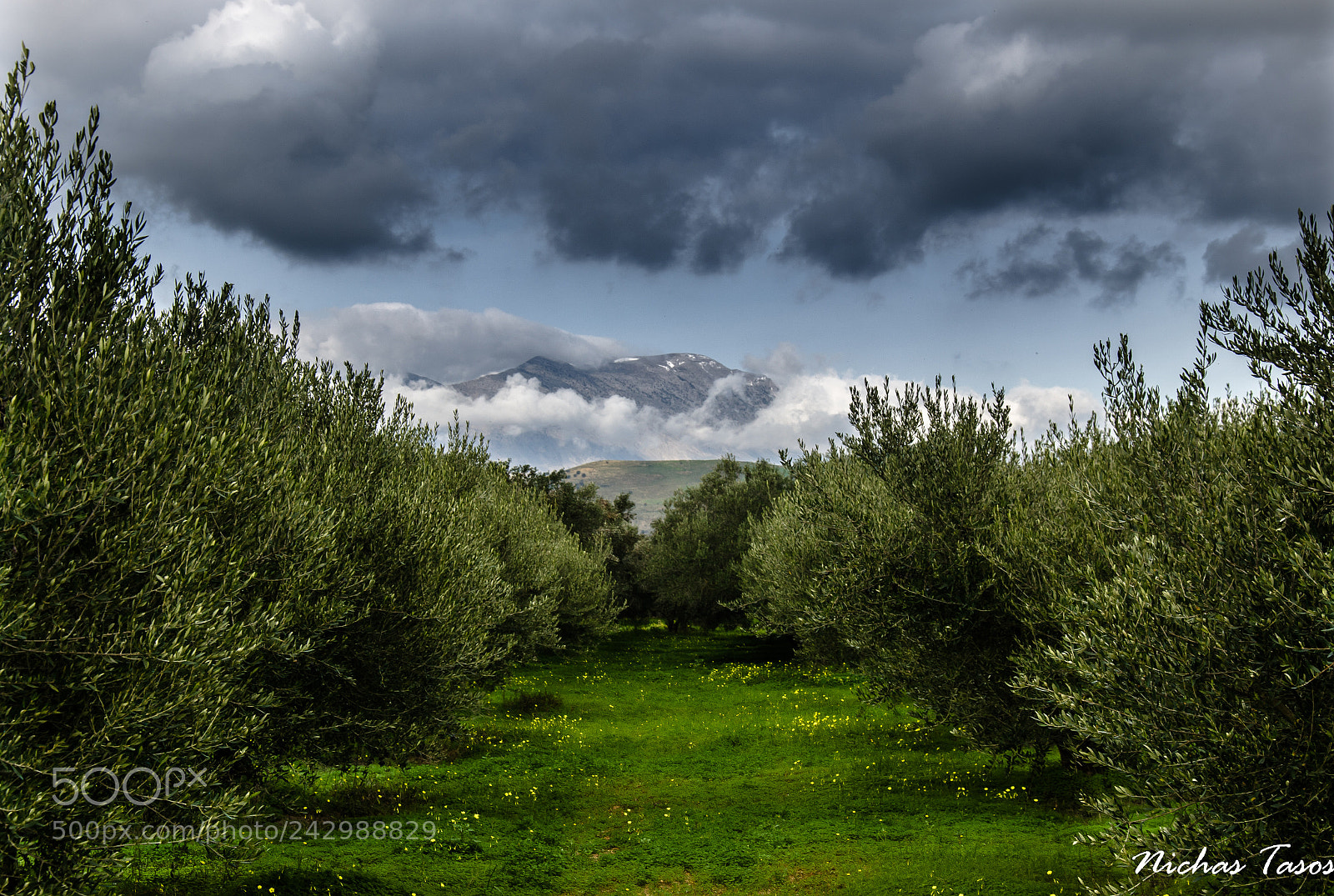 Nikon D5100 sample photo. Cretan nature photography