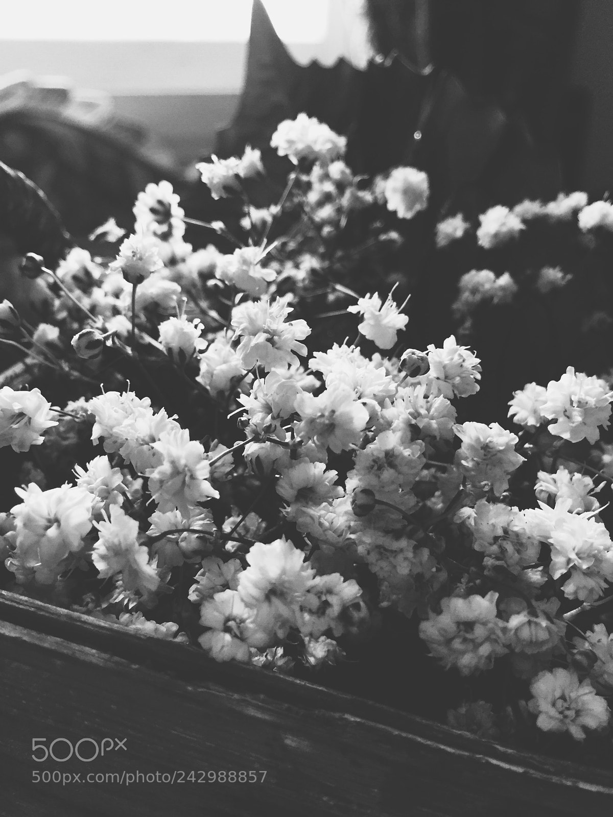 Apple iPhone 6 sample photo. Untitled photography