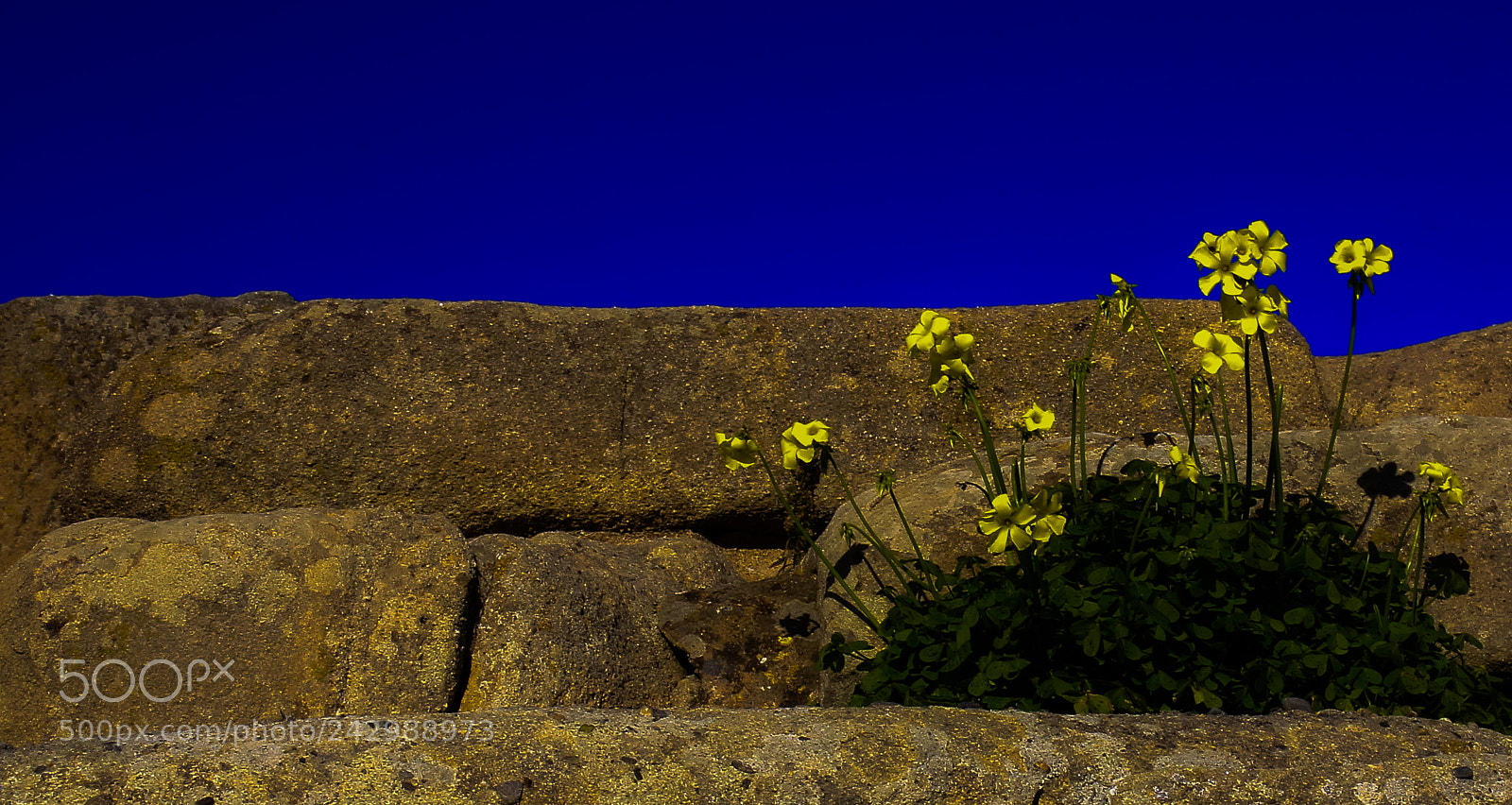 Canon EOS 550D (EOS Rebel T2i / EOS Kiss X4) sample photo. Colors in ancient ruins photography