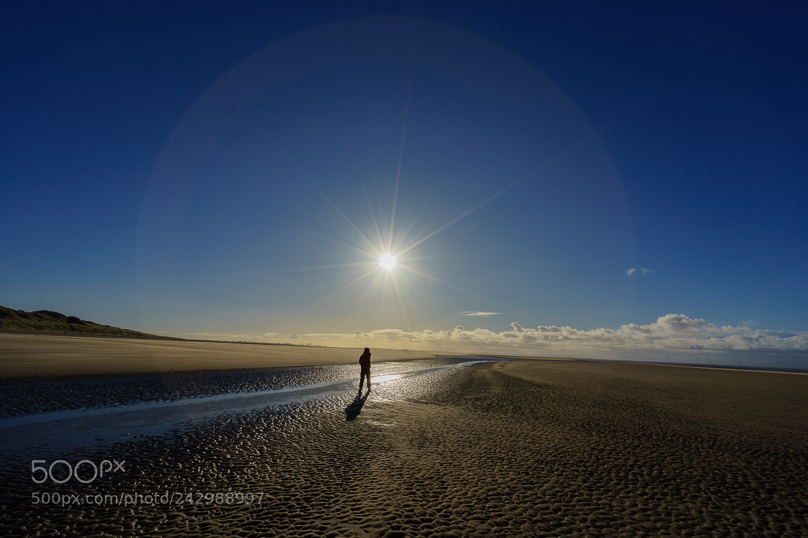 Sony a7 II sample photo. Dsc photography
