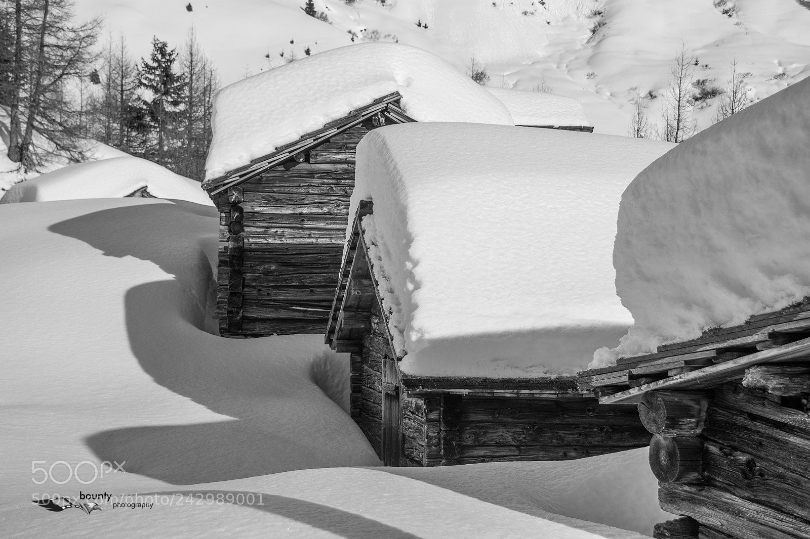 Nikon D7100 sample photo. Eingeschneit photography