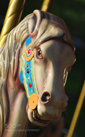 Nikon D60 sample photo. Td photography