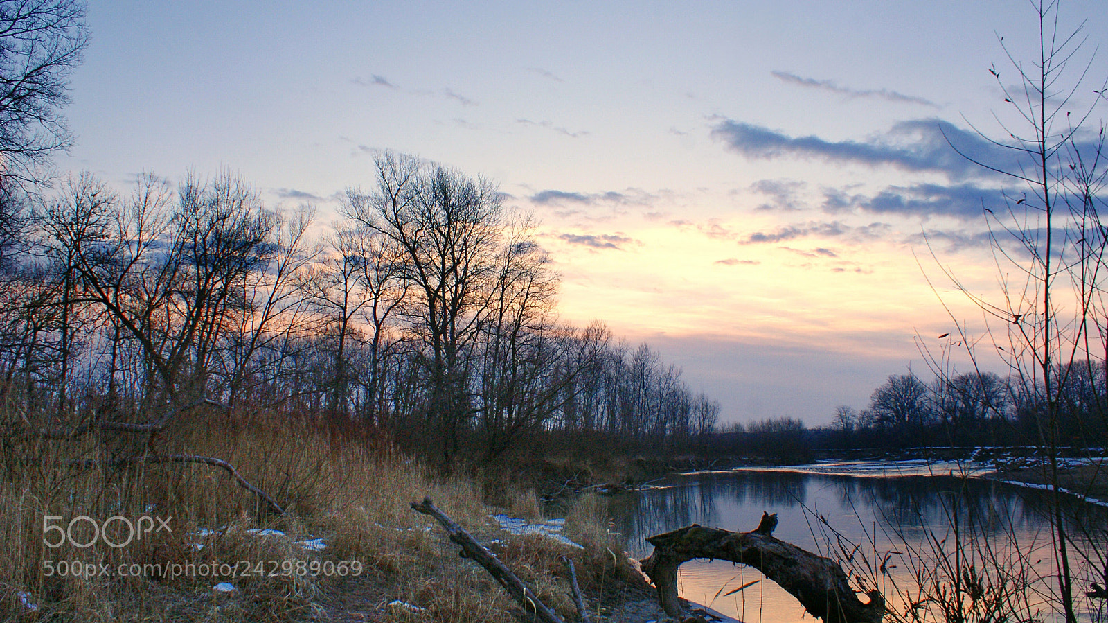 Sony DT 18-70mm F3.5-5.6 sample photo. Untitled photography