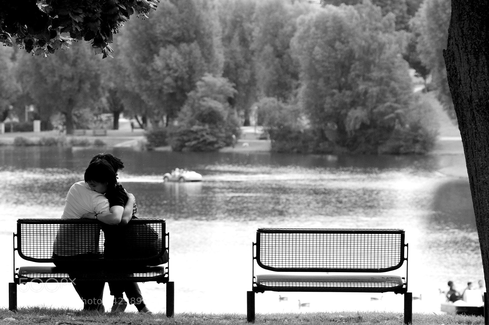 Canon EOS 40D sample photo. True love photography