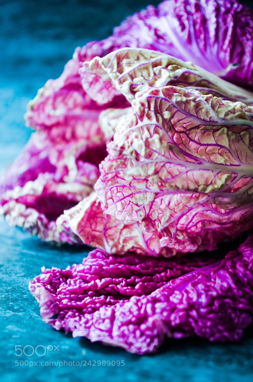 Pentax K-30 sample photo. Purple cabbage photography