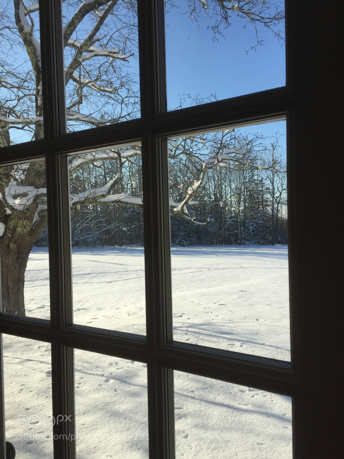 Apple iPhone 6 sample photo. Looking thru the window photography