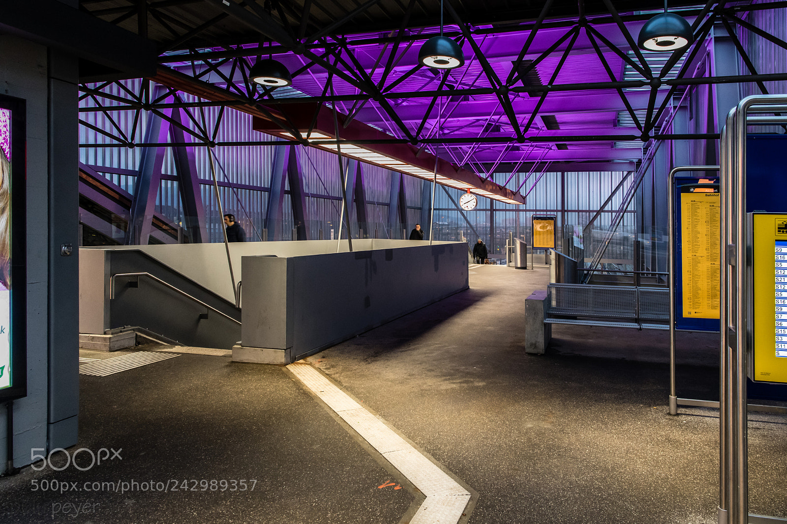 Nikon D5 sample photo. Purple photography