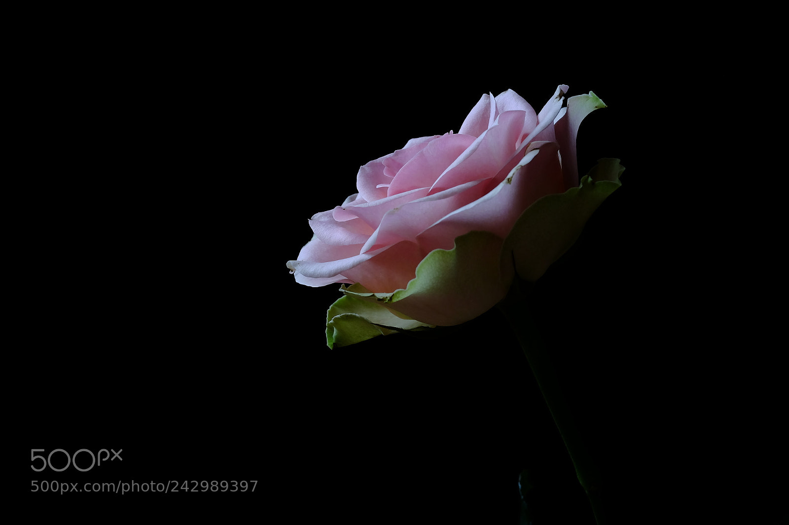 Fujifilm X-T10 sample photo. 474 photography