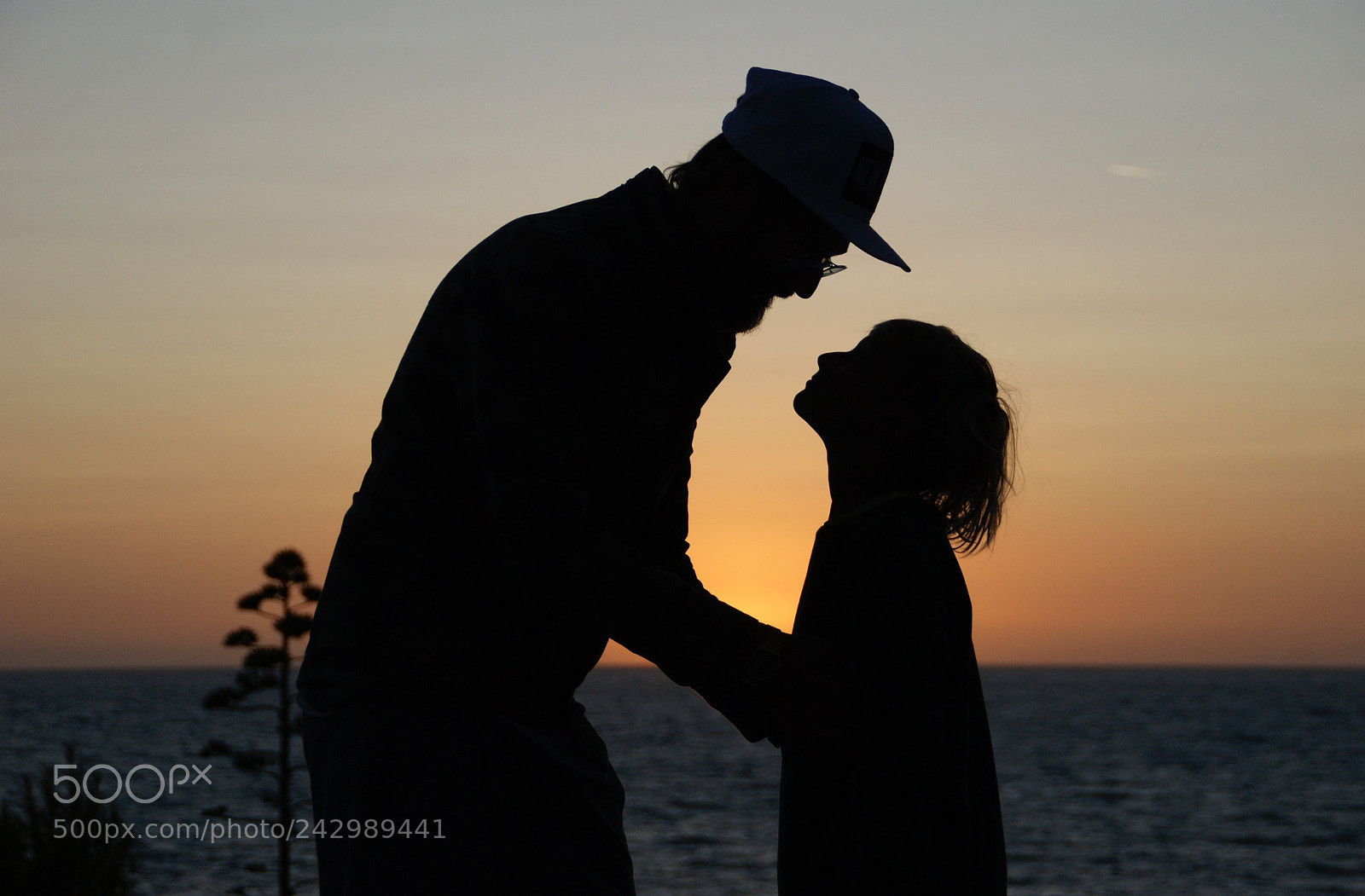 Sony Alpha DSLR-A390 sample photo. Dan and son photography