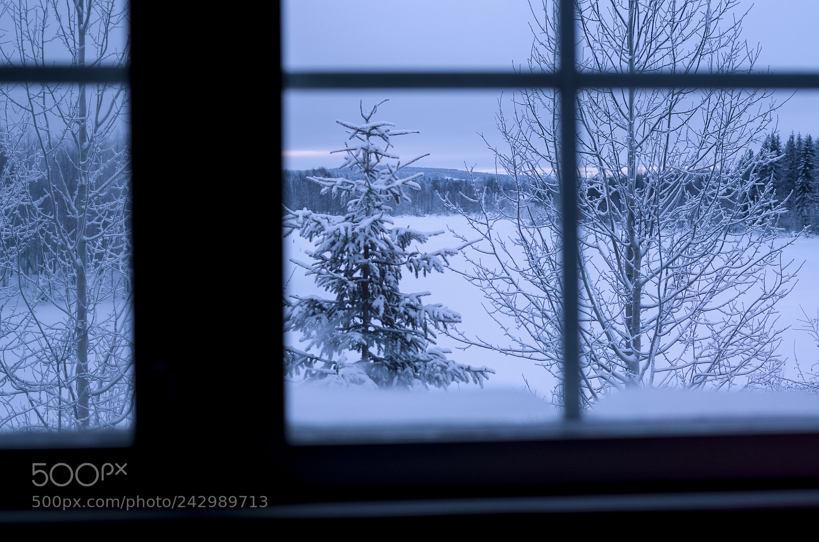 Pentax K-30 sample photo. Winter window photography