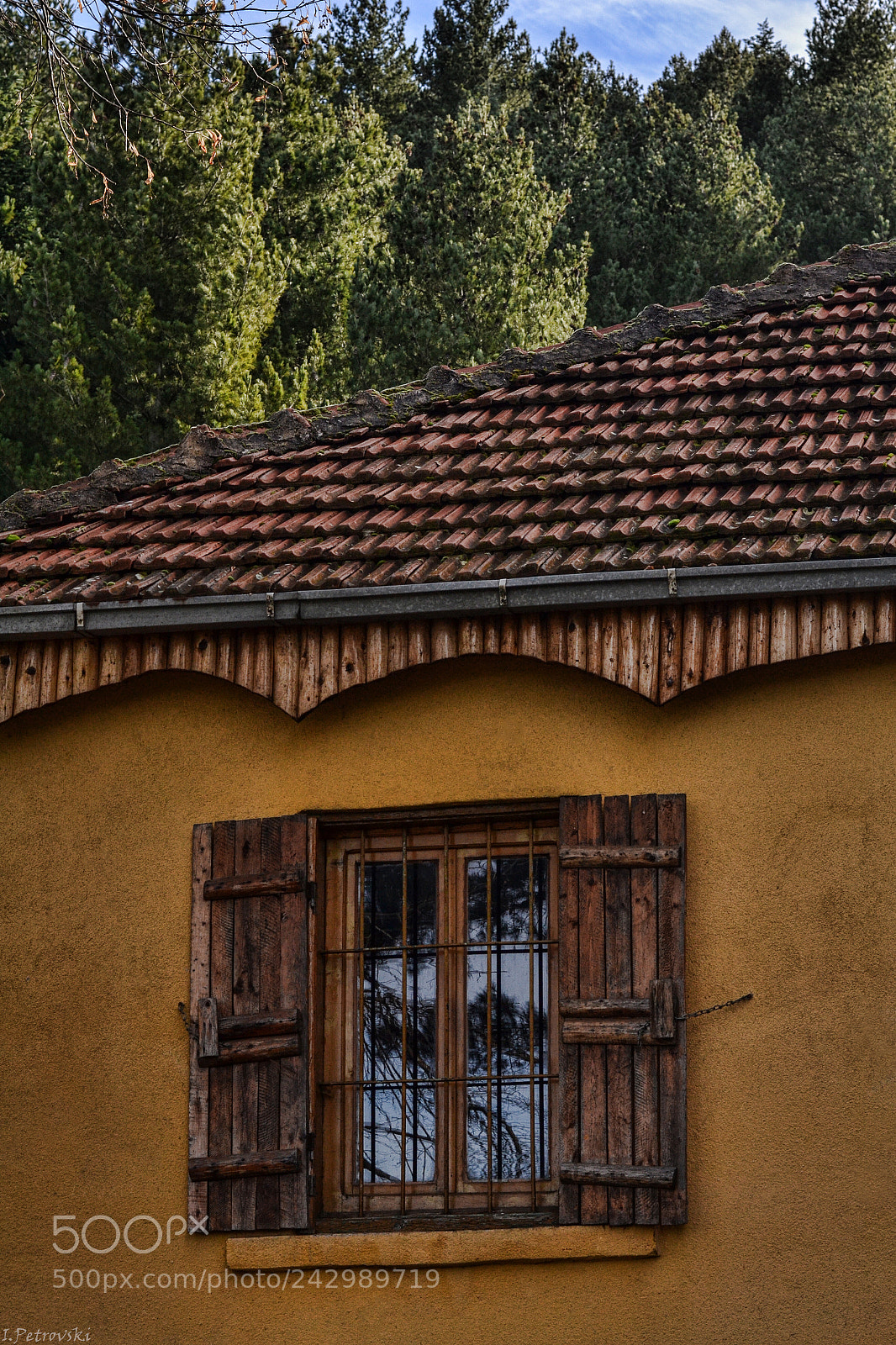 Nikon D3100 sample photo. Secret window photography