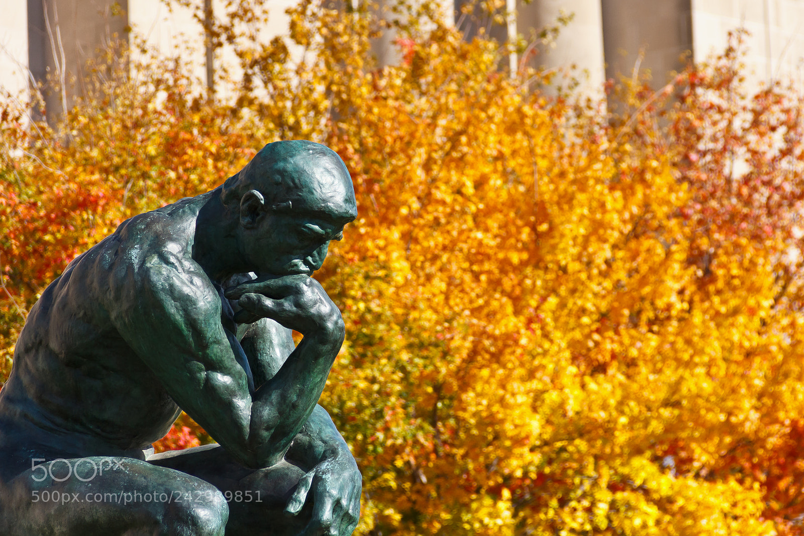 Canon EOS 60D sample photo. Thinking about autumn photography