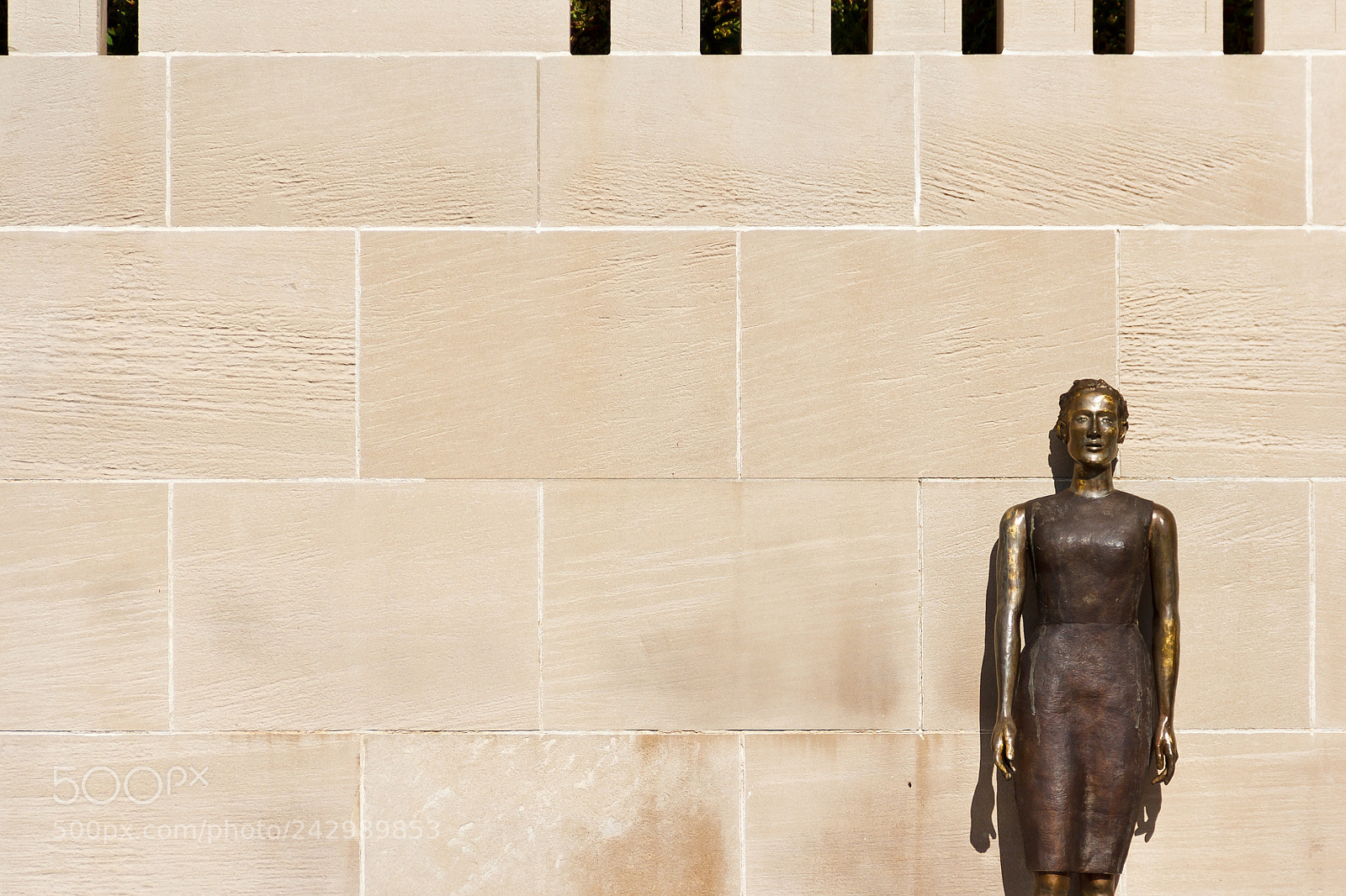 Canon EOS 60D sample photo. Statue against a wall photography