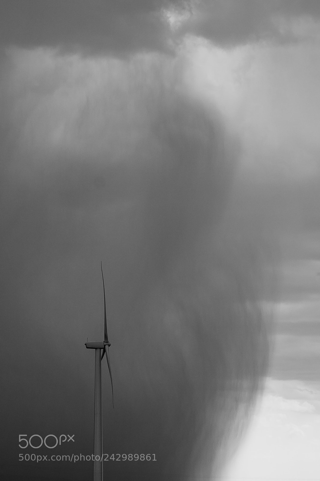 Canon EOS 400D (EOS Digital Rebel XTi / EOS Kiss Digital X) sample photo. Downpour behind a wind photography