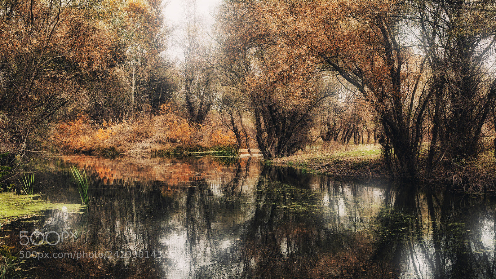 Canon EOS 5D sample photo. - photography