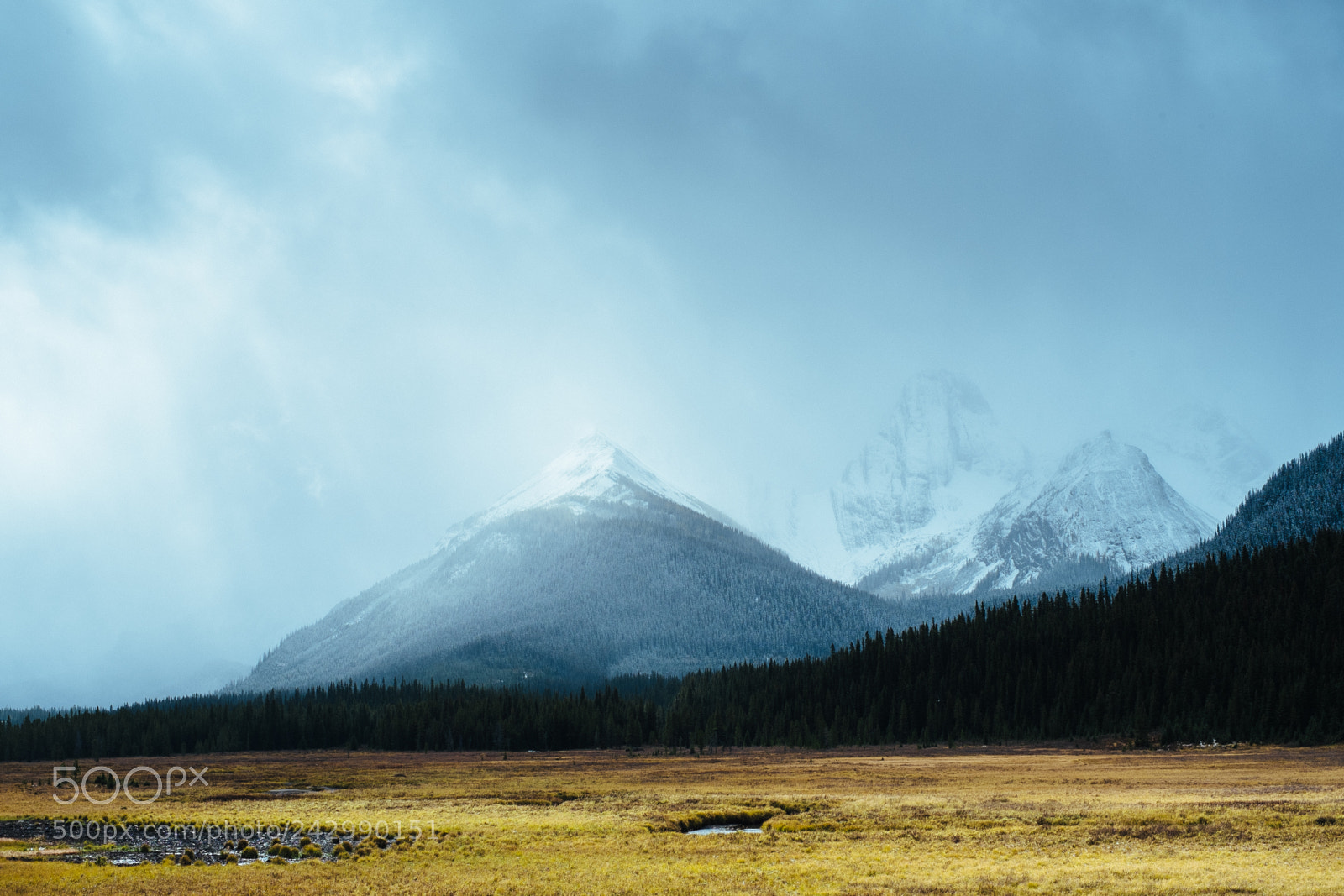 Fujifilm X-Pro1 sample photo. Canmore rockies photography