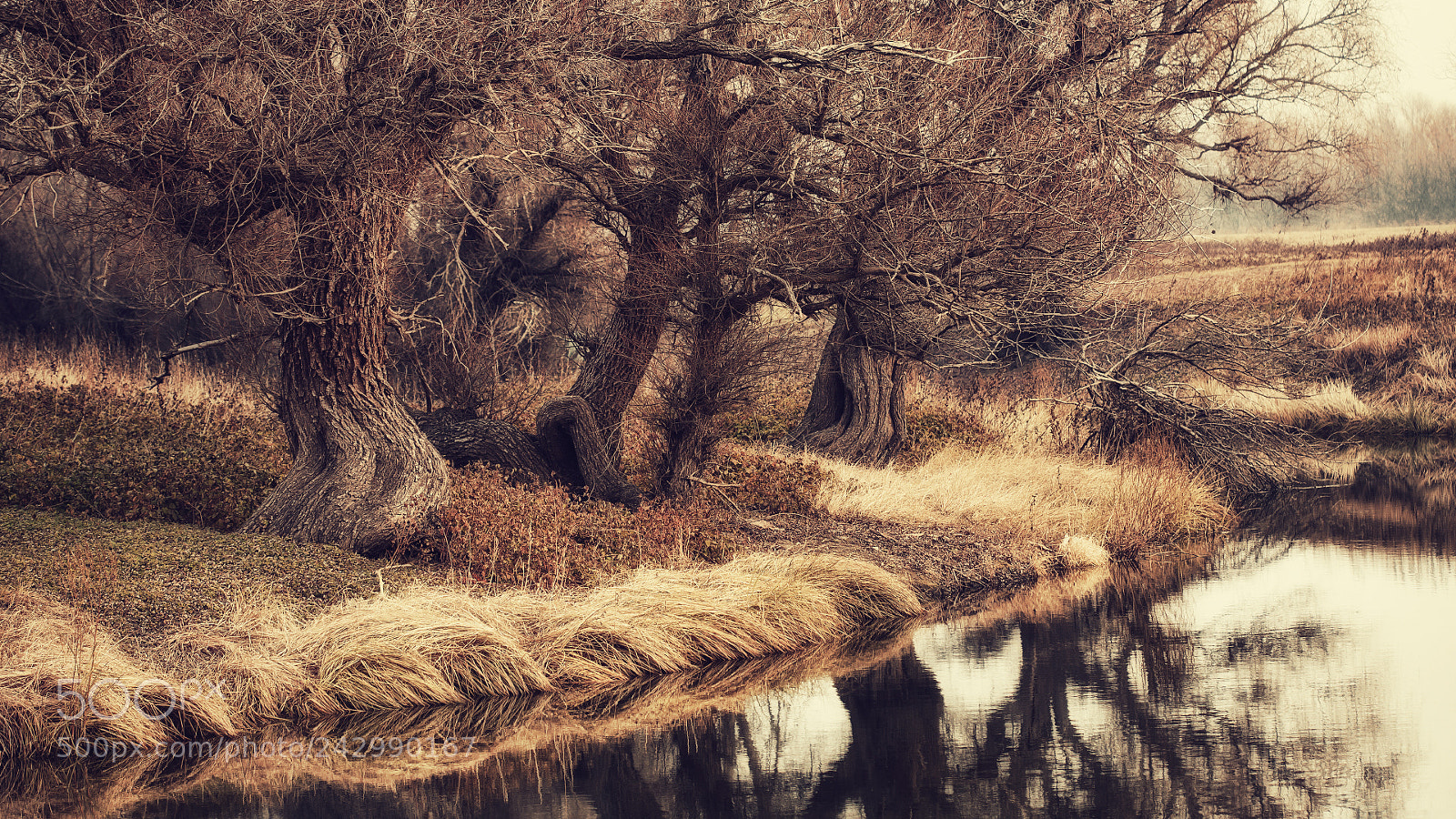 Canon EOS 5D sample photo. - photography