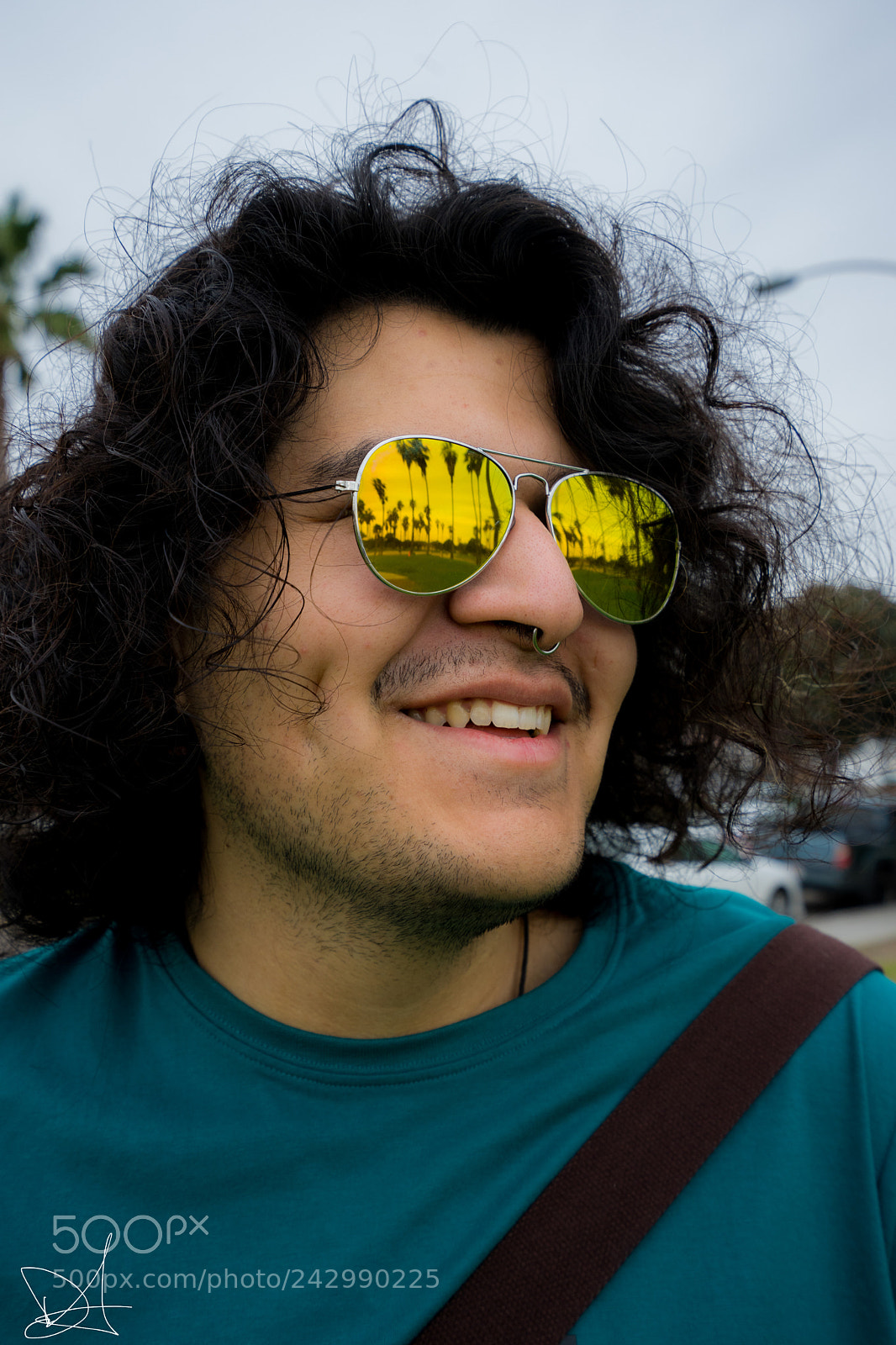 Sony a7 II sample photo. Palms and shades photography