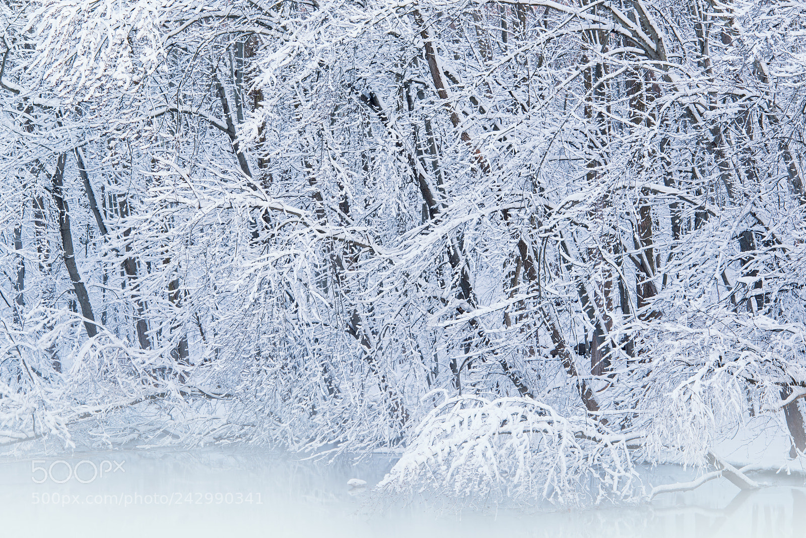 Nikon D800E sample photo. Winter, kalamazoo river shore photography