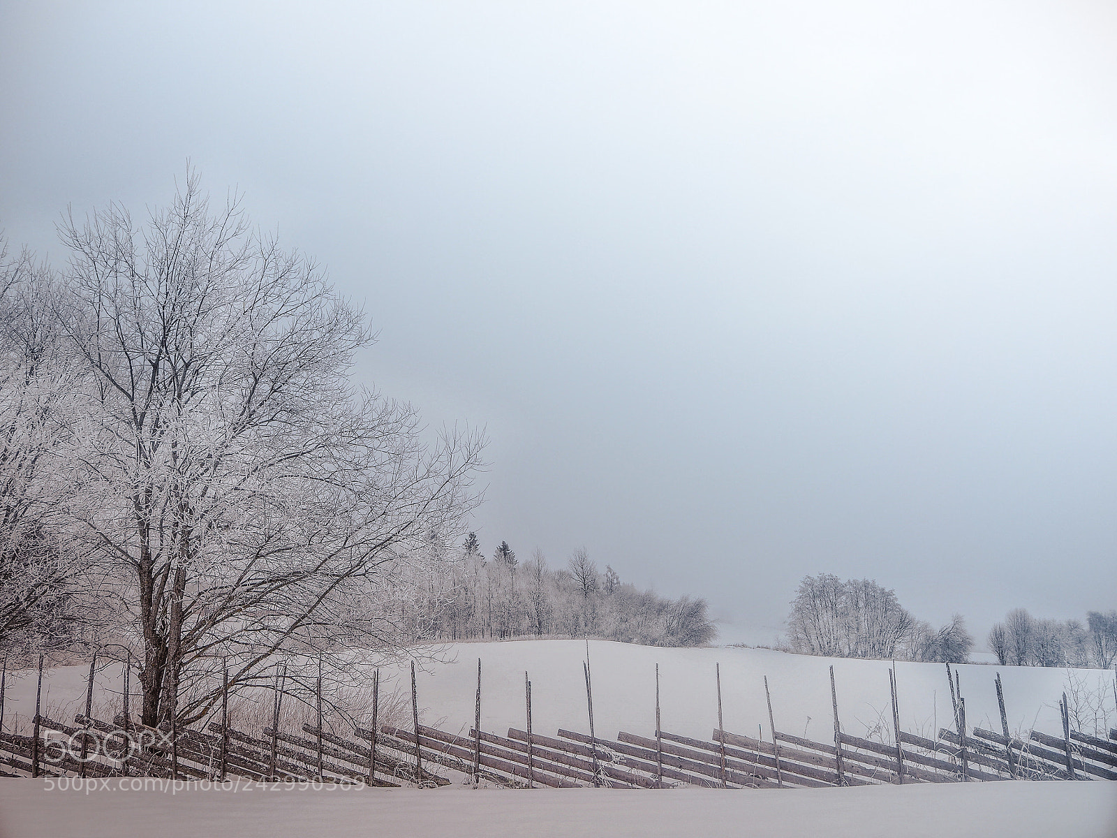Olympus OM-D E-M10 sample photo. Countryside in winterdress photography