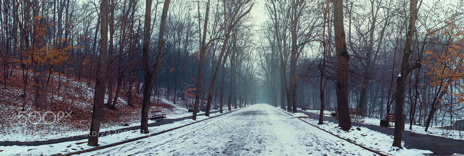 Nikon D7200 sample photo. Winter dream photography