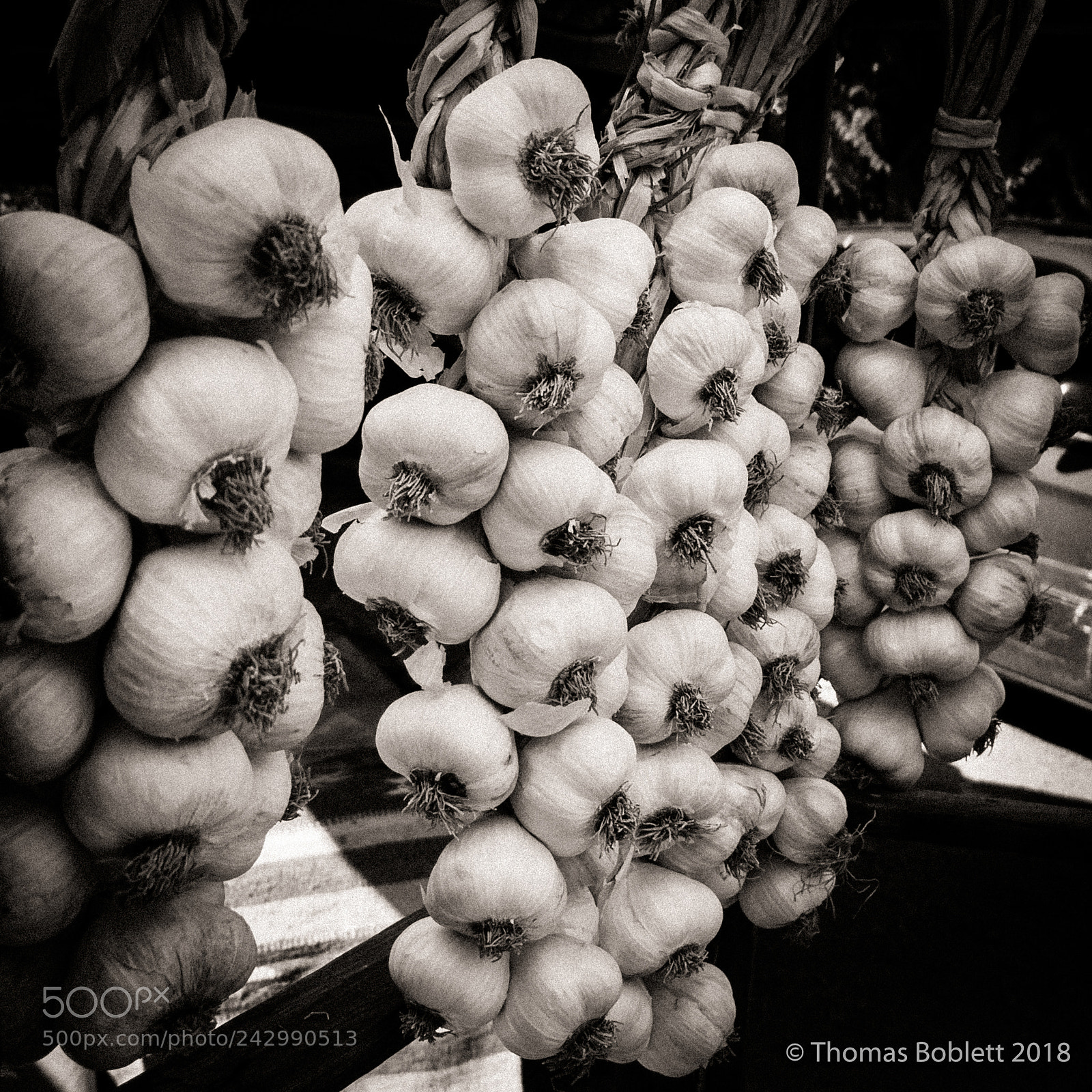 Canon PowerShot G16 sample photo. Garlic photography