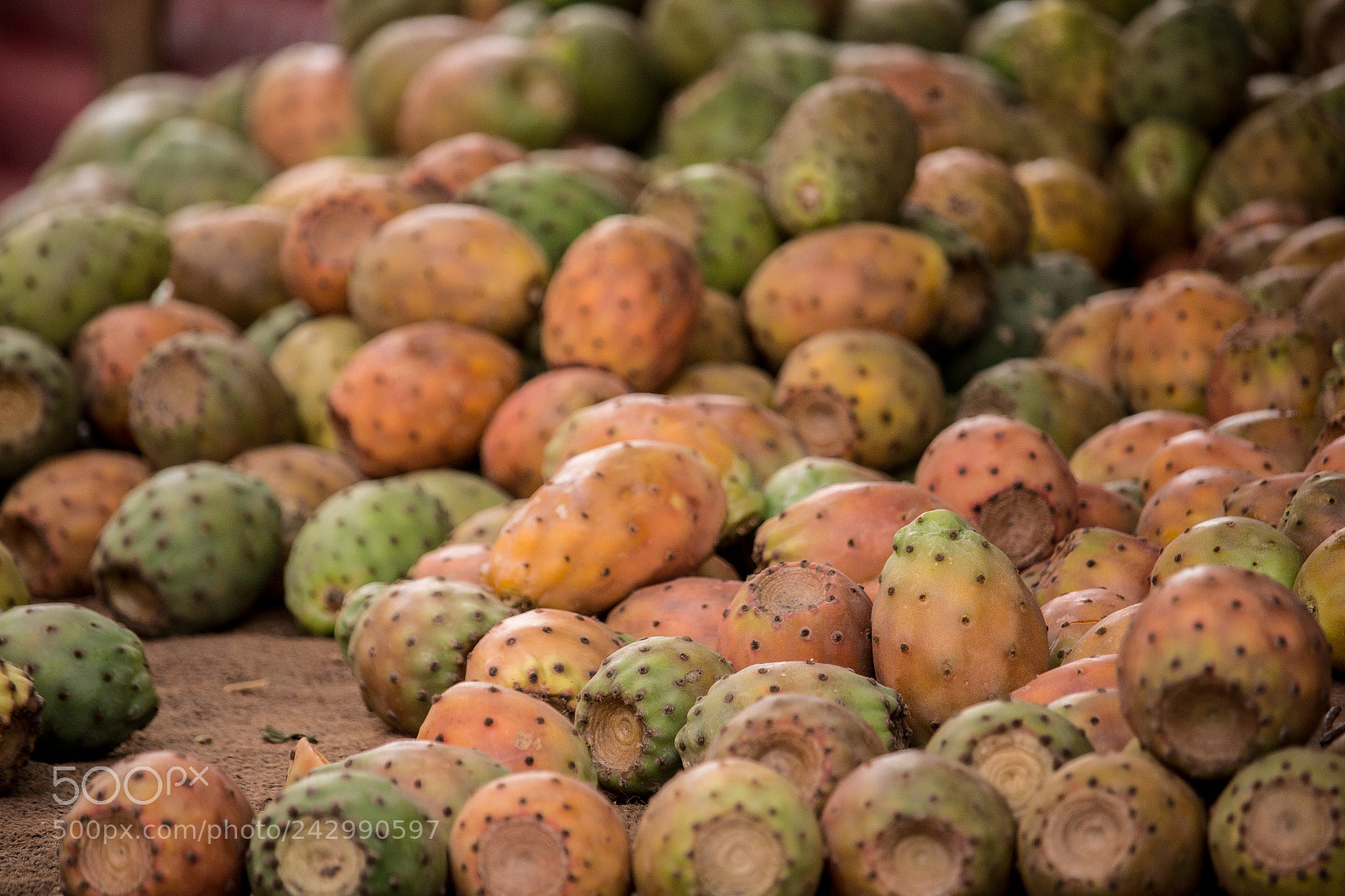 Canon EOS 1200D (EOS Rebel T5 / EOS Kiss X70 / EOS Hi) sample photo. Morocco photography