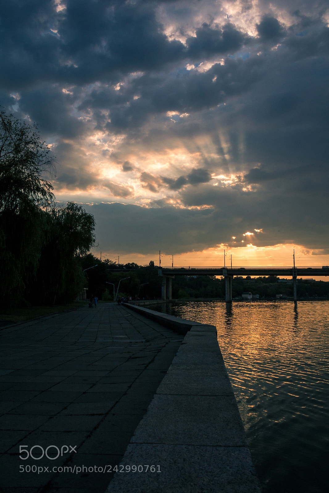 Canon EOS 60D sample photo. Img photography