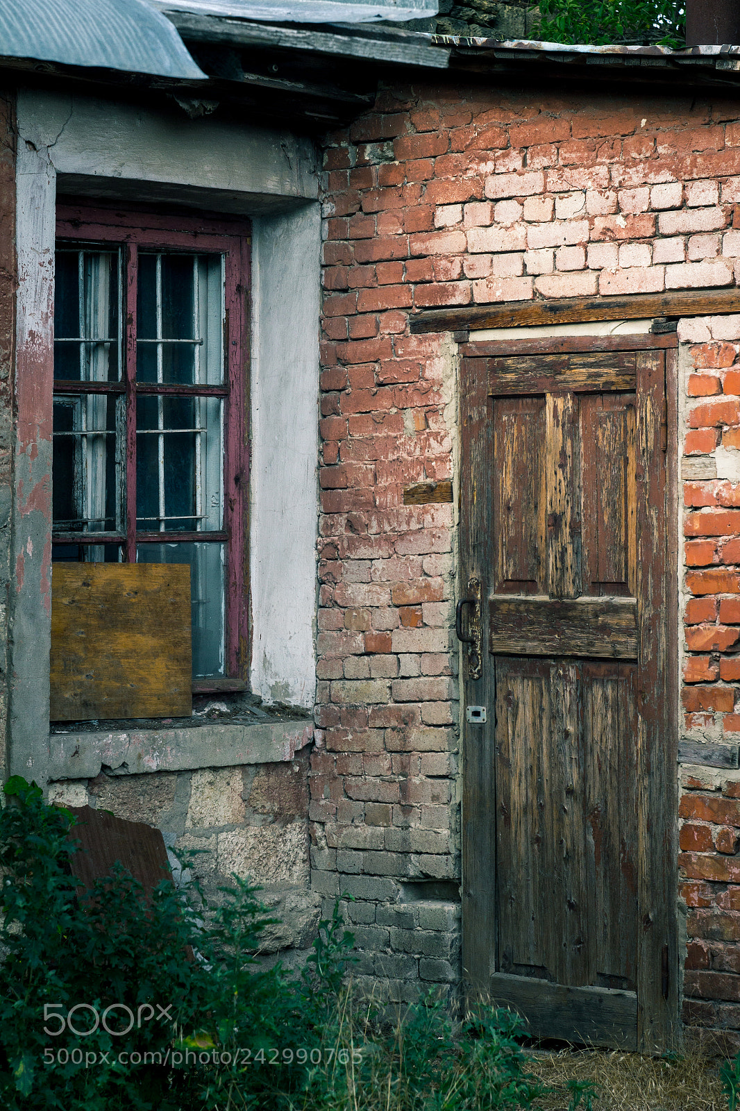 Canon EOS 60D sample photo. Img photography