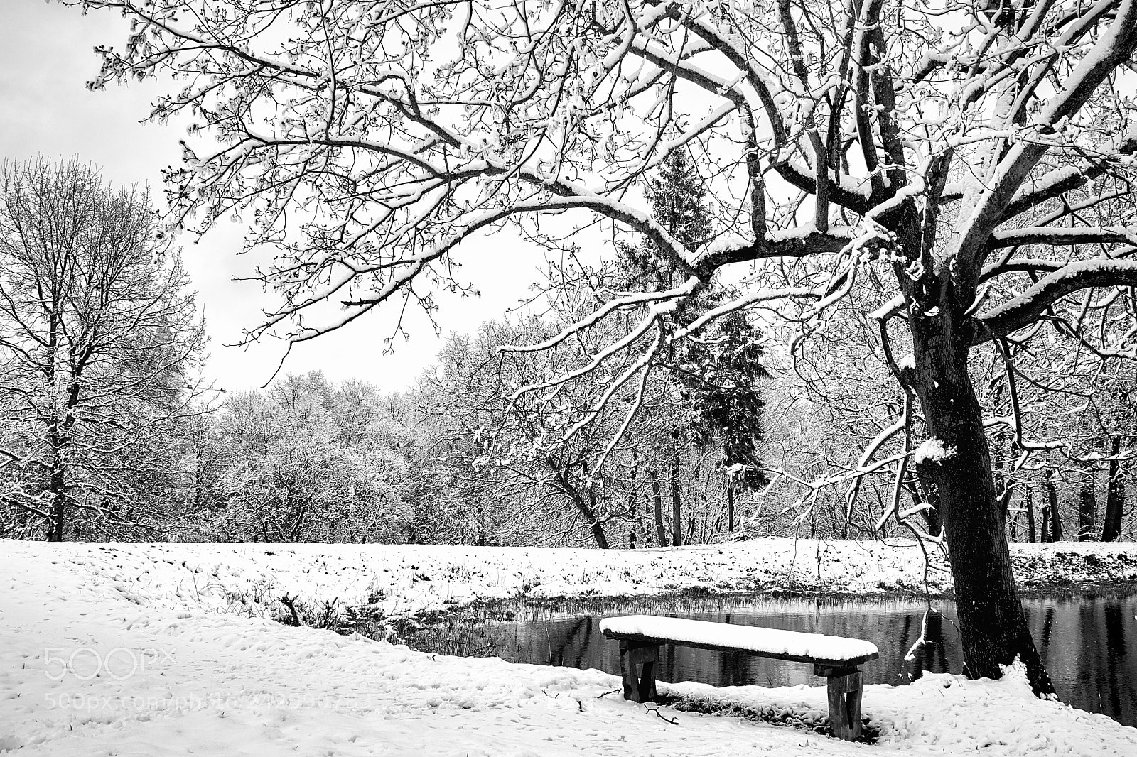 Canon EOS 7D Mark II sample photo. Winter scene with white photography