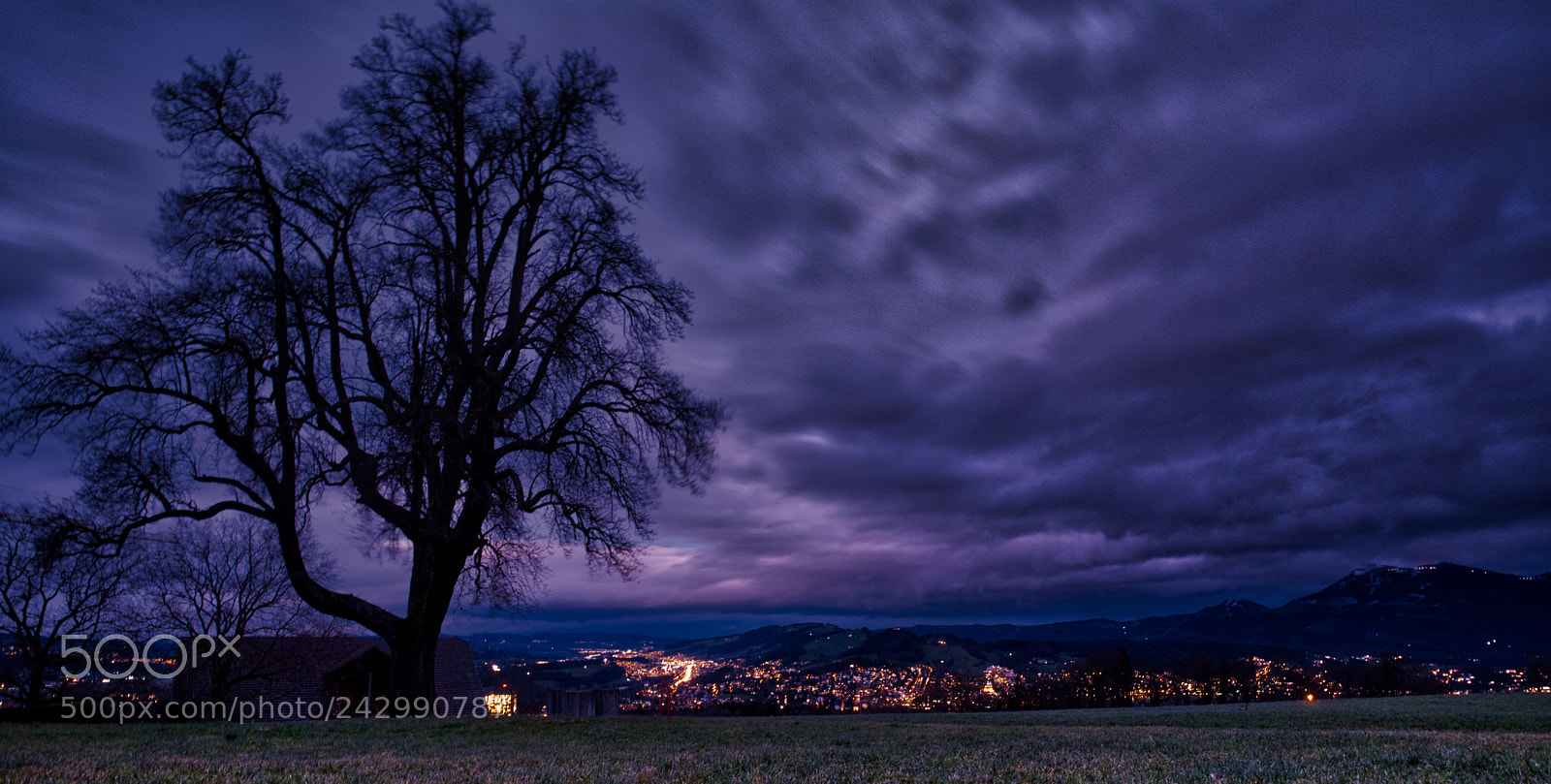Fujifilm X-Pro2 sample photo. Evening tree photography
