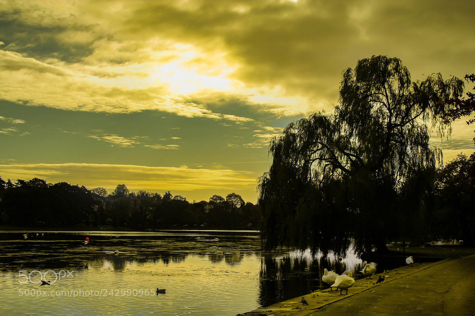 Canon EOS 60D sample photo. Lakeside evening photography