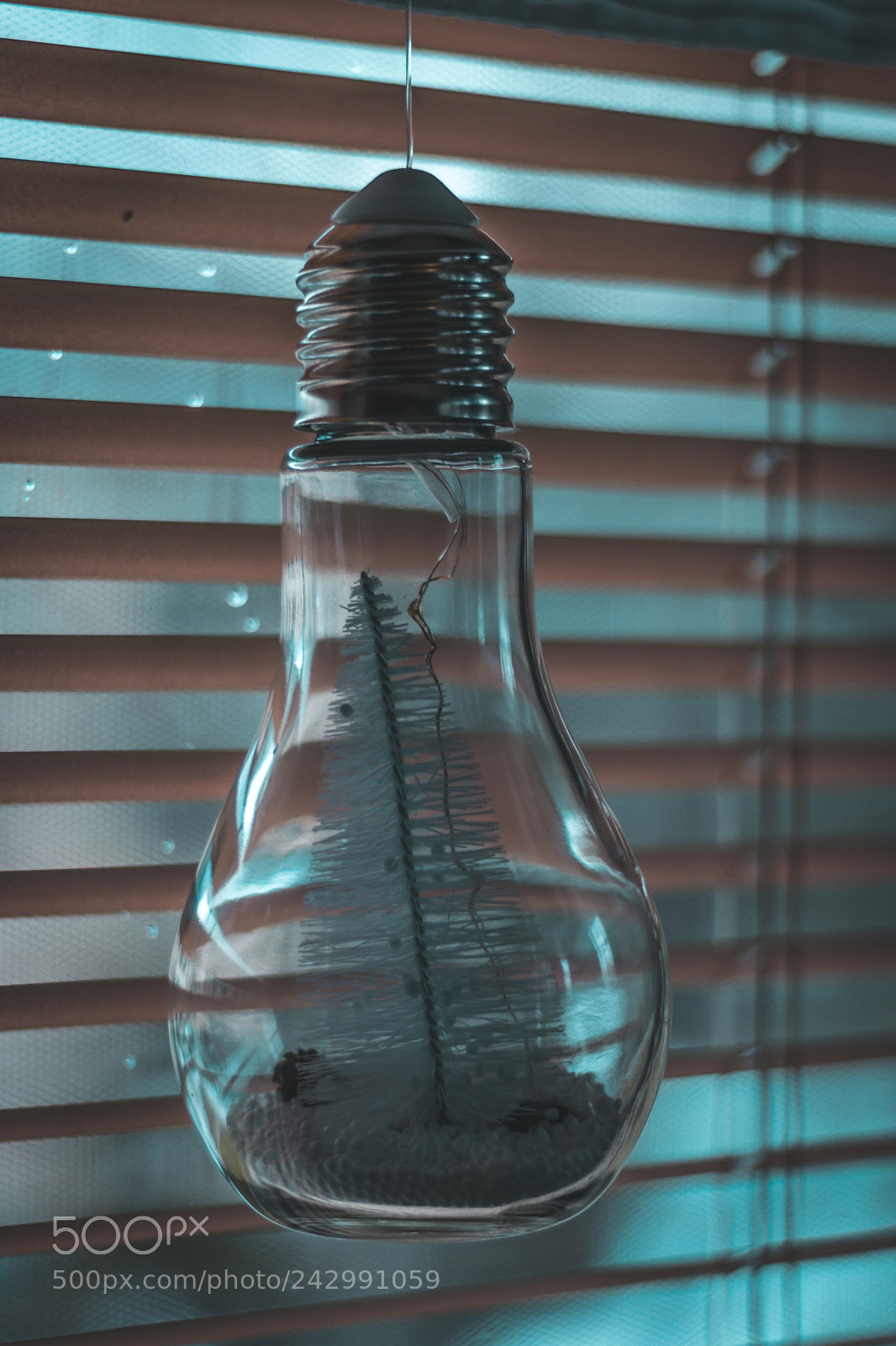 Canon EOS 77D (EOS 9000D / EOS 770D) sample photo. A lightbulb photography