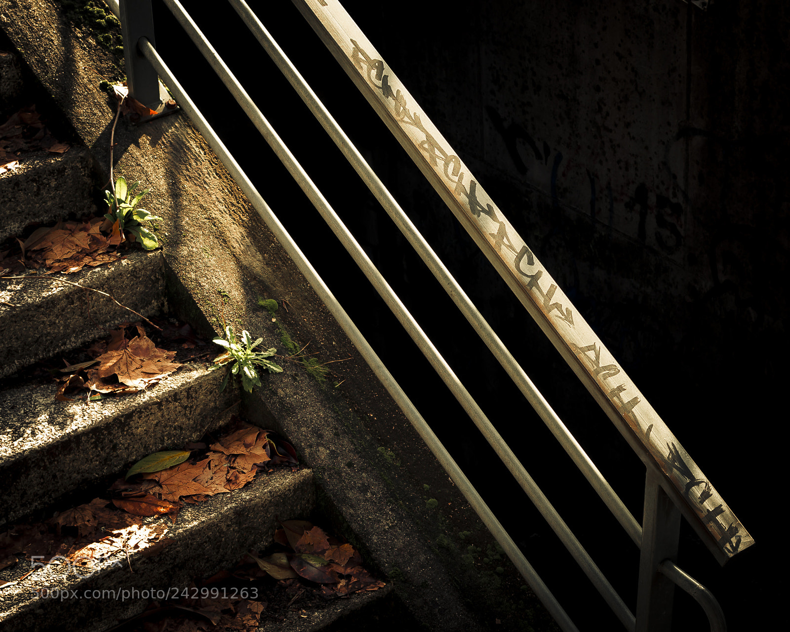 Nikon D3100 sample photo. Abstract photography