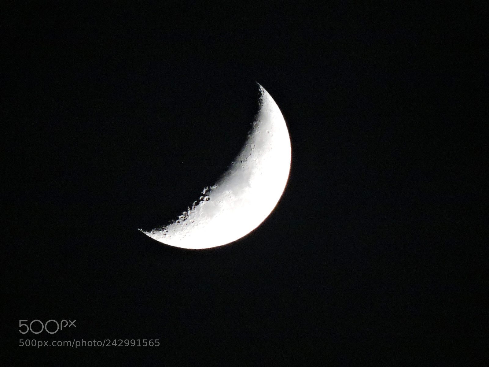 Nikon Coolpix P600 sample photo. The moon at night photography