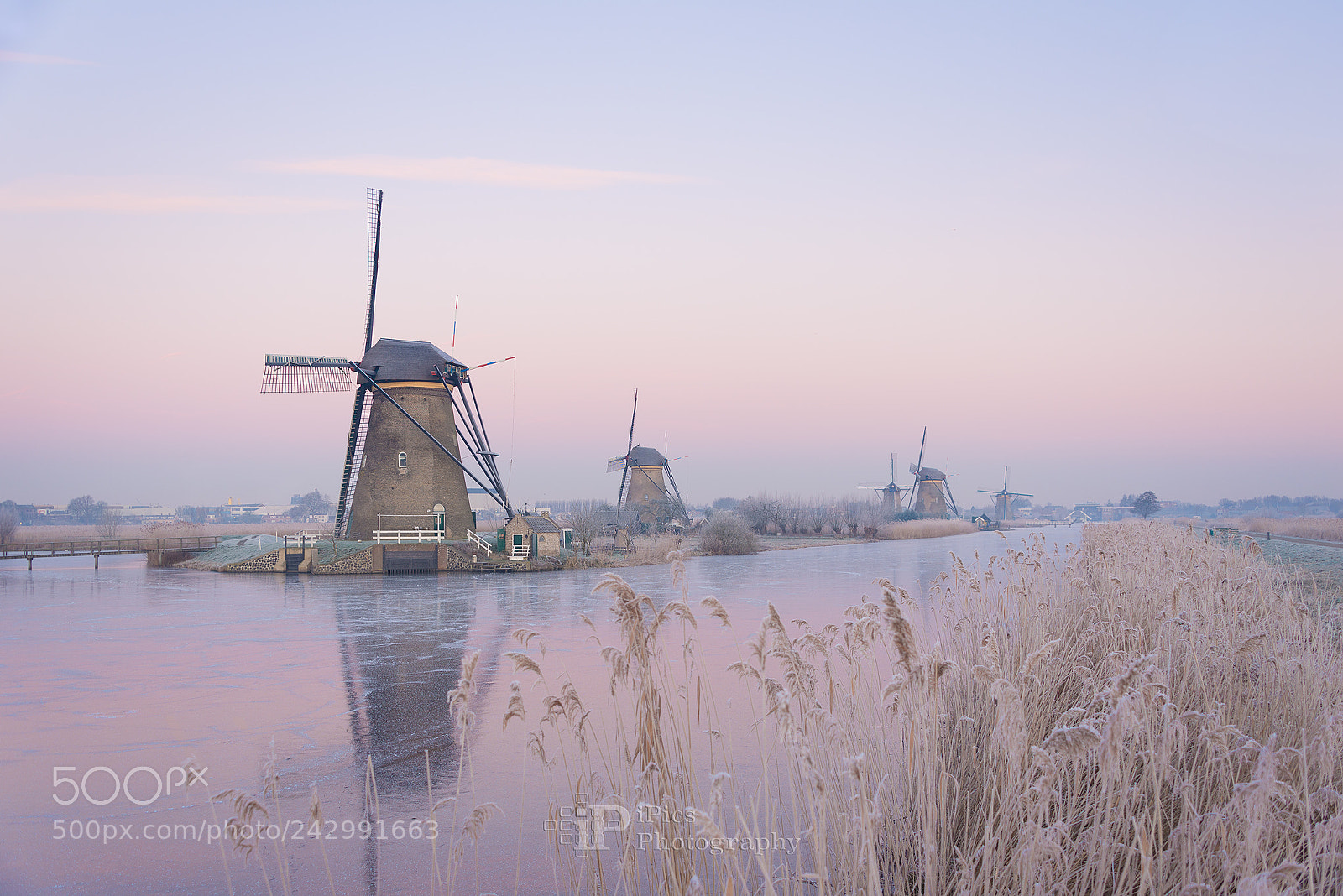 Nikon D610 sample photo. Windmills in the netherlands photography