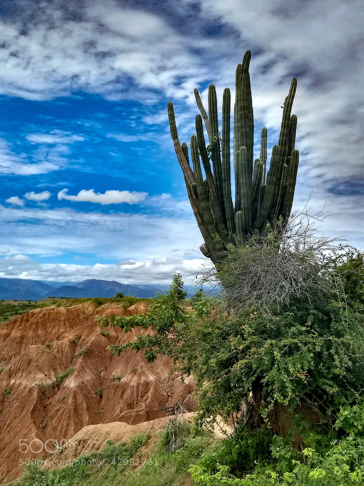 Motorola Moto G (5) Plus sample photo. Desierto de la tatacoa photography