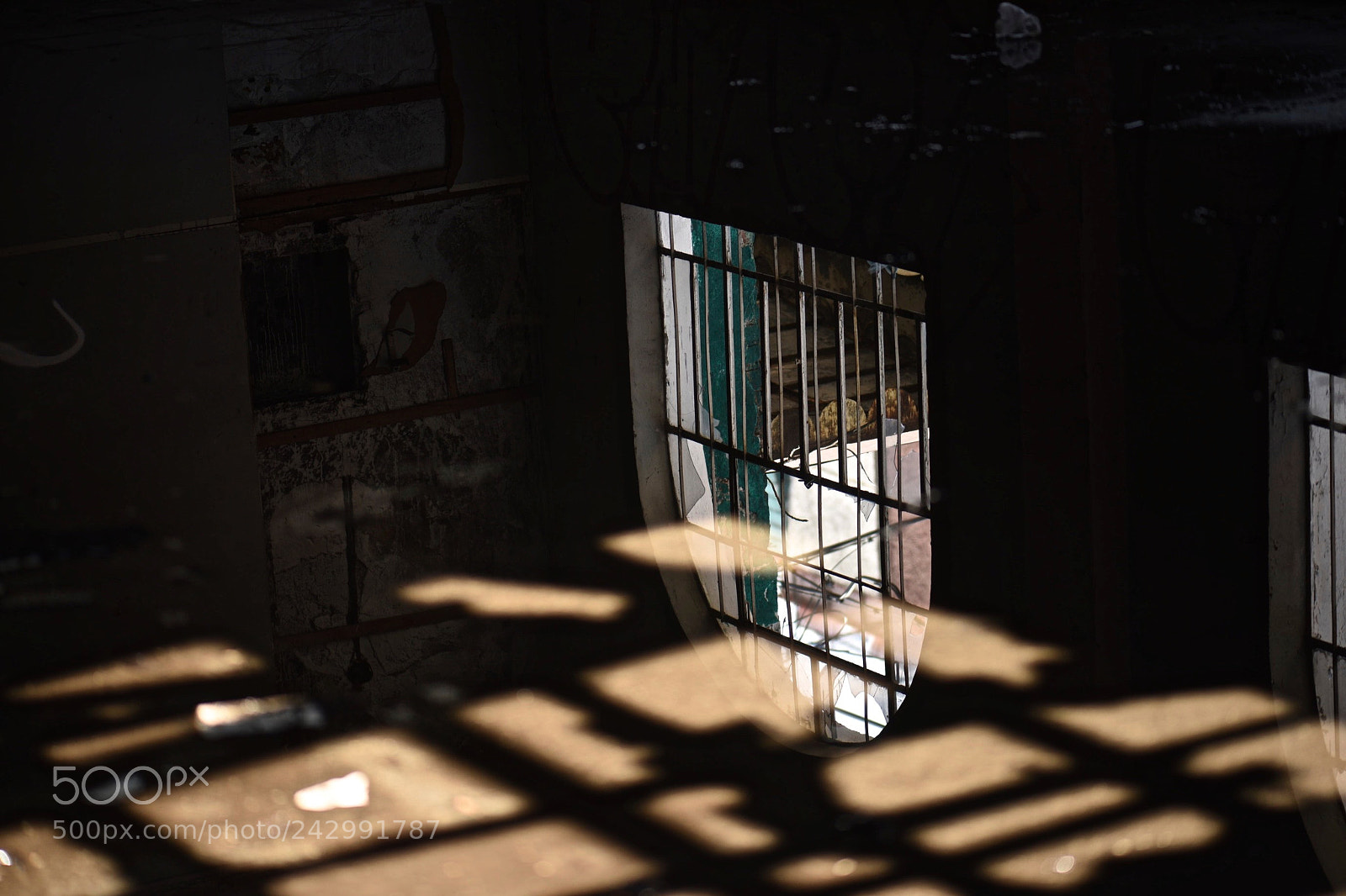 Nikon D810 sample photo. Untitled photography