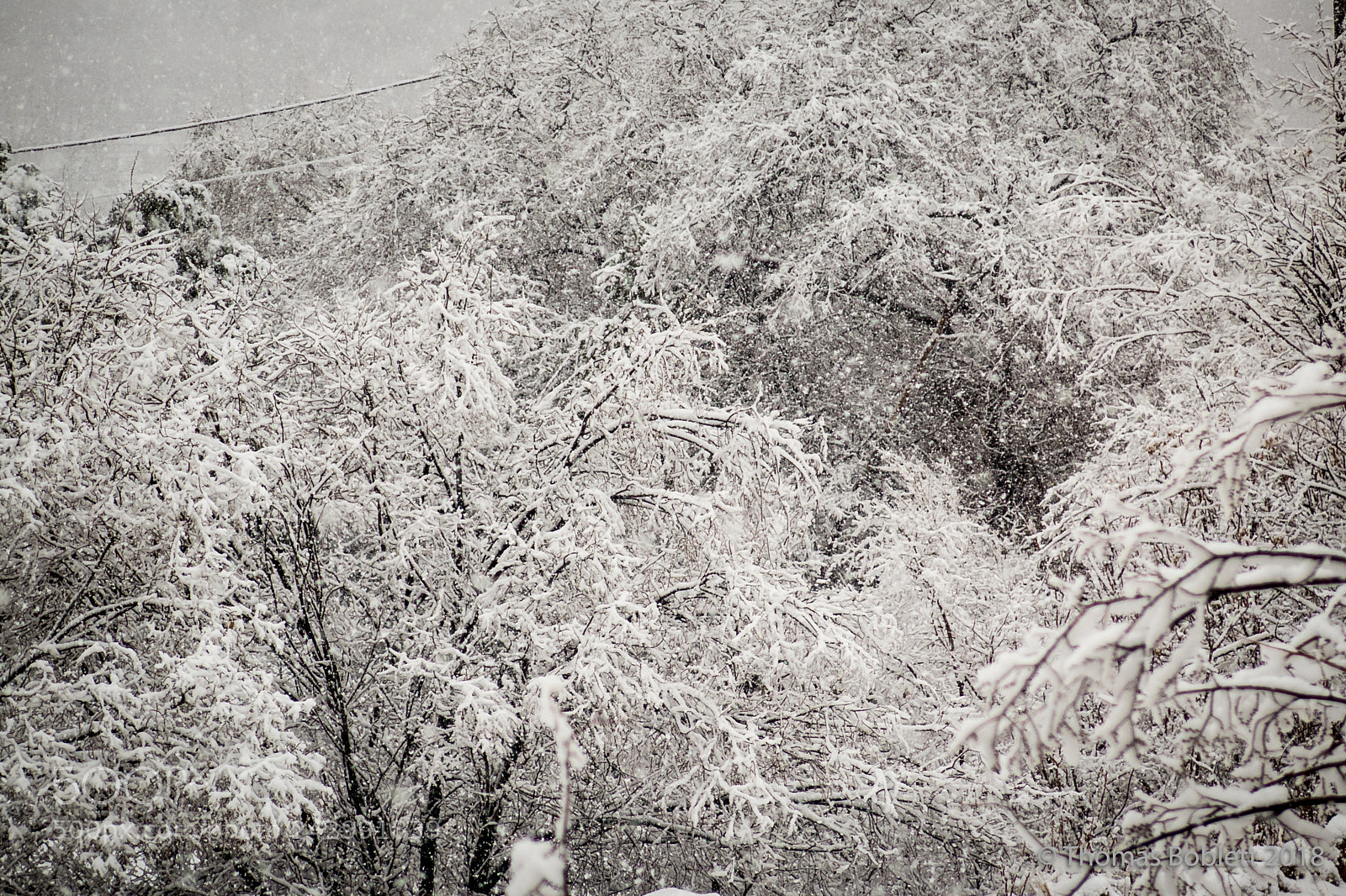 Canon PowerShot G16 sample photo. Snow day photography