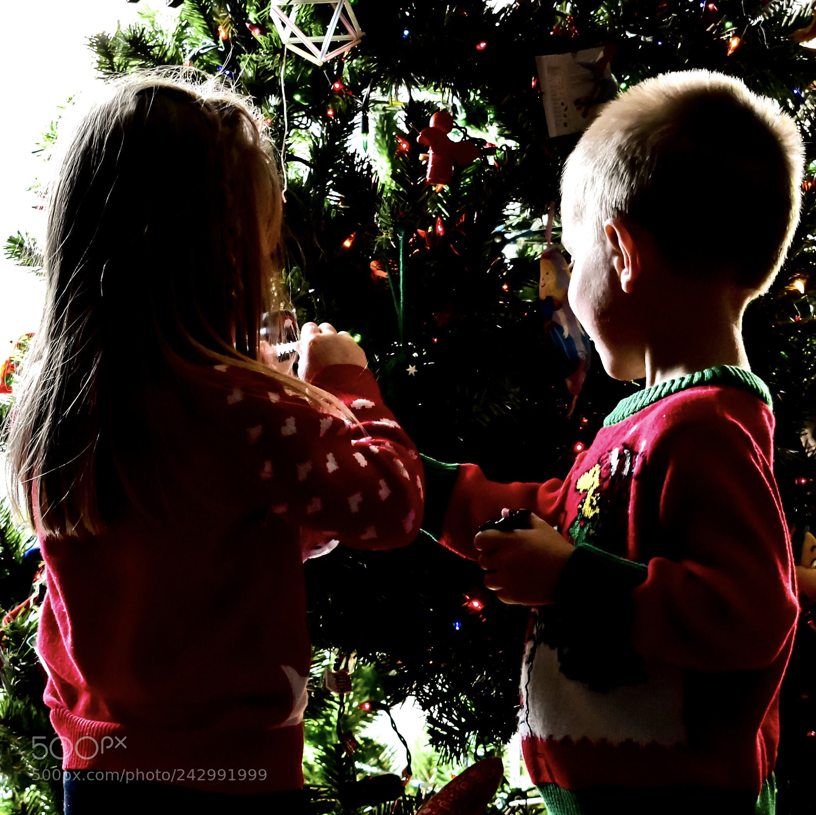 Nikon D5600 sample photo. Decorating the tree at photography