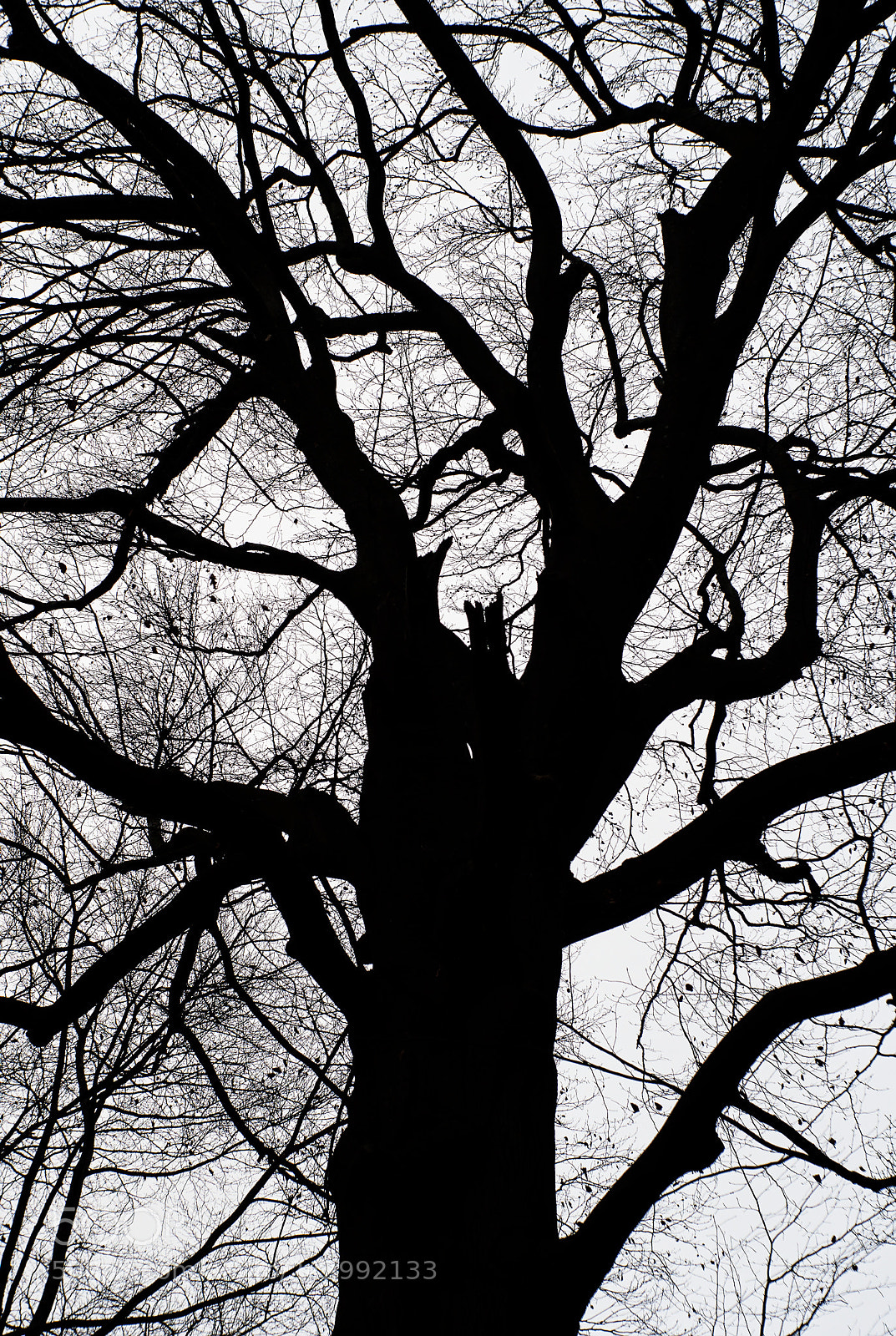 Sony a6300 sample photo. Black and white. photography