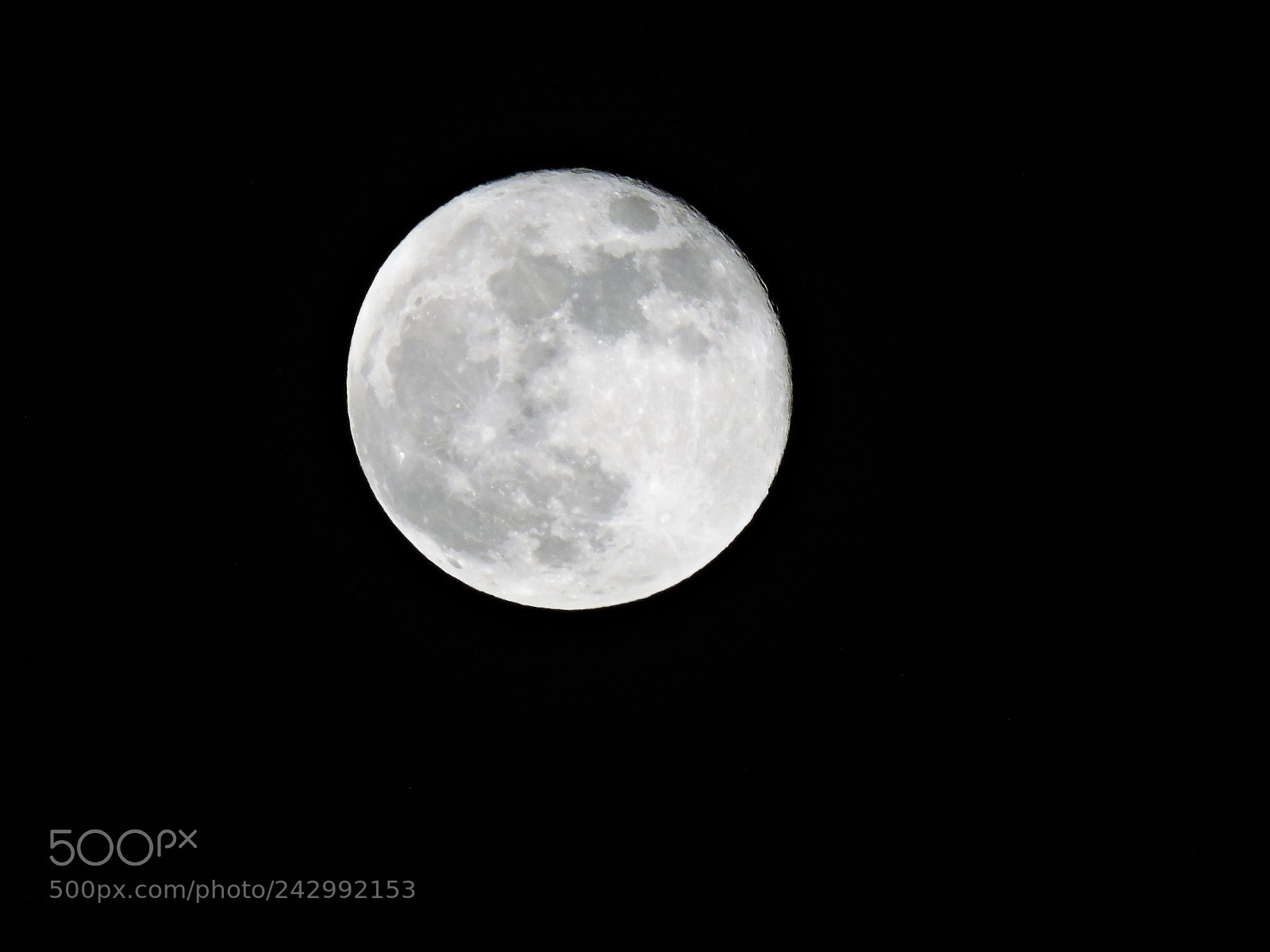 Nikon Coolpix P600 sample photo. Full moon at night photography