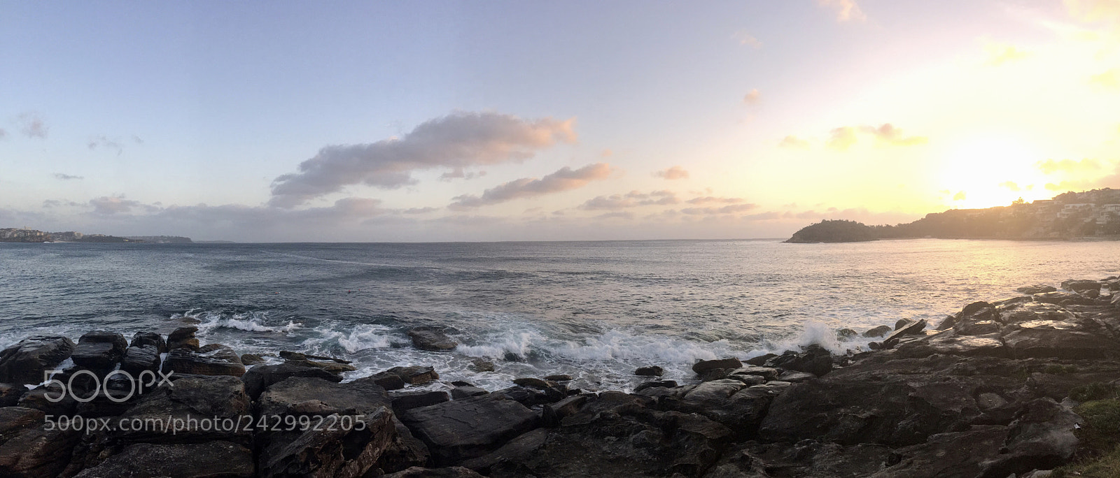 Apple iPhone 6 sample photo. Untitled photography