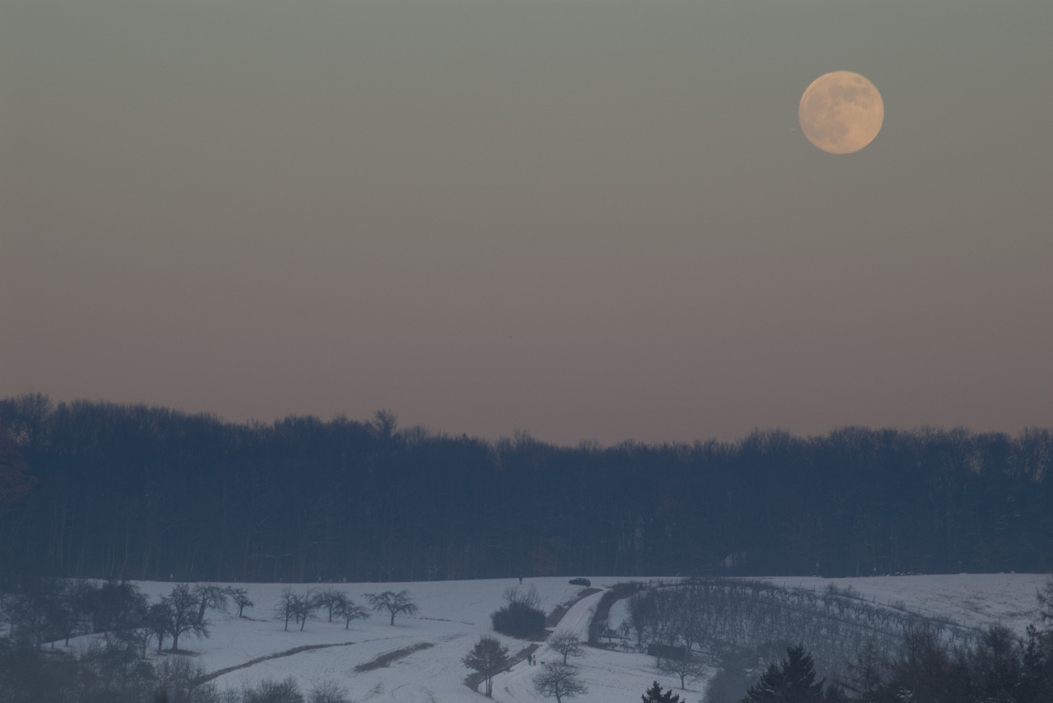 Pentax K100D sample photo. Winter moon photography