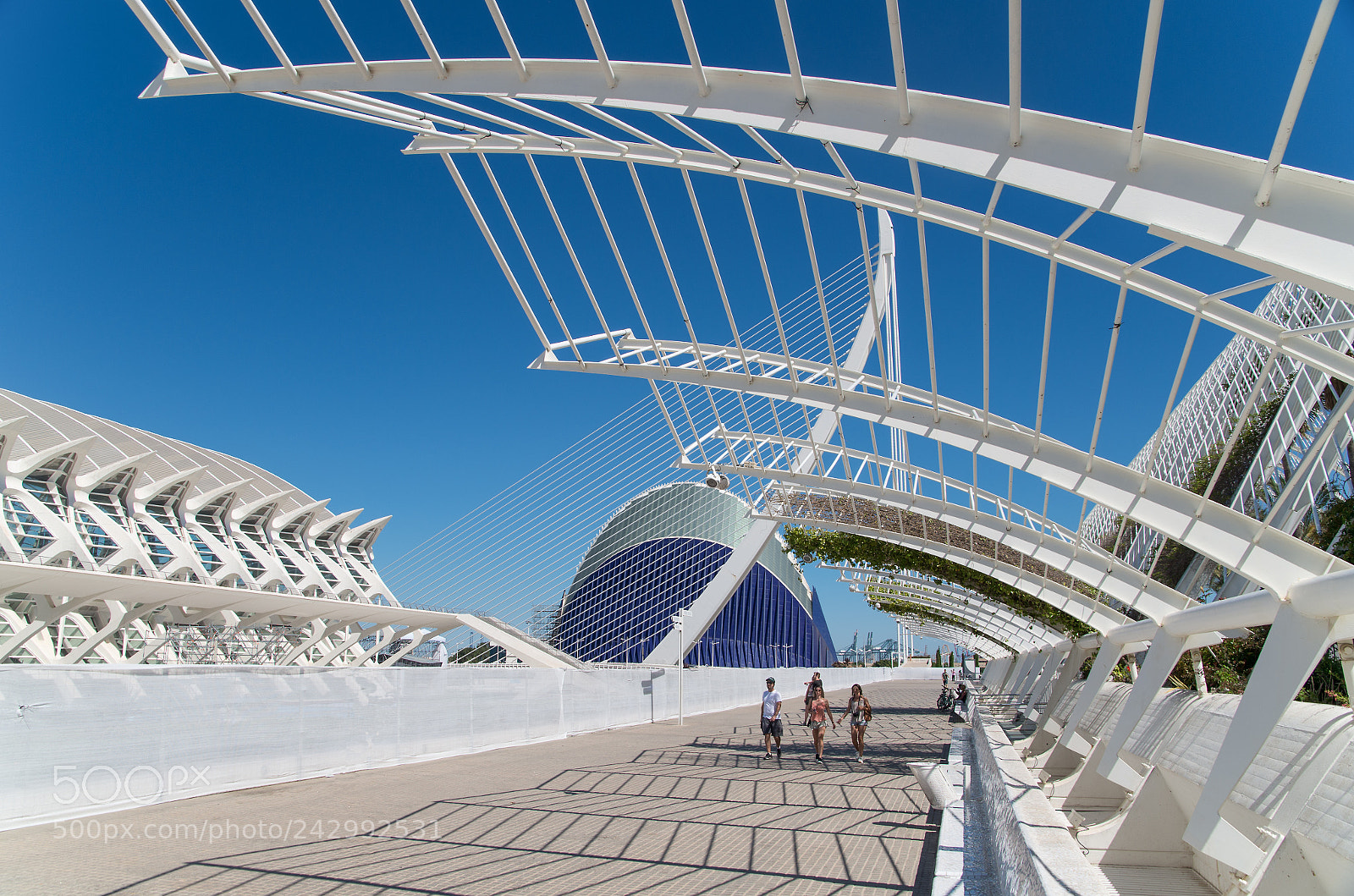 Pentax K-30 sample photo. Ciudad de las artes photography