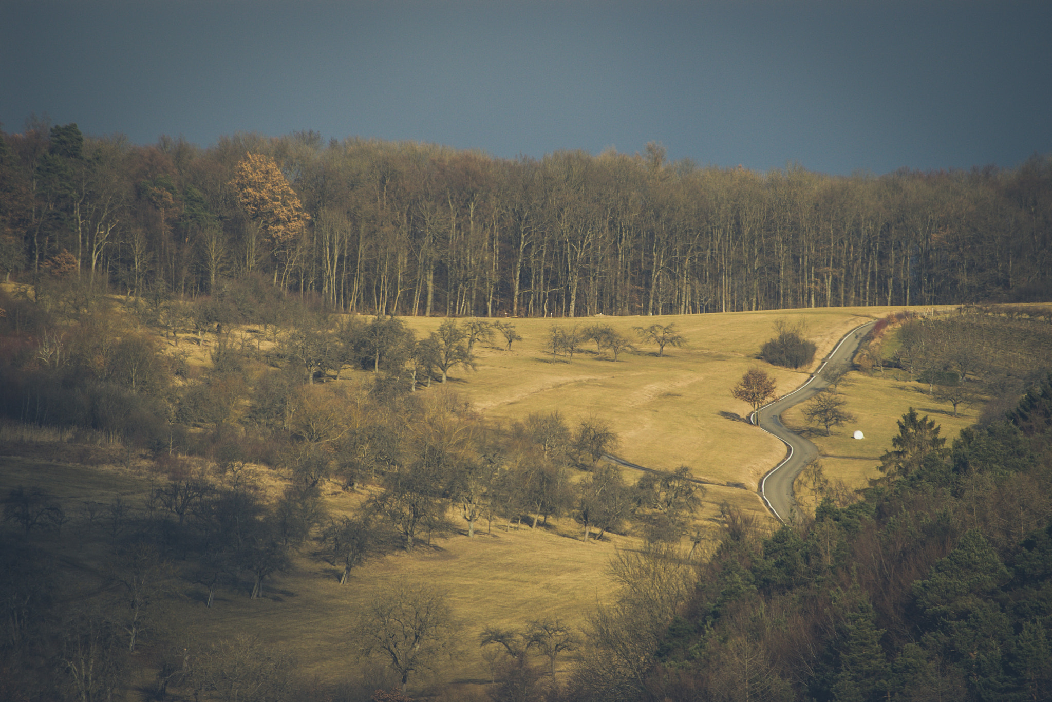 Pentax K100D sample photo. Autumn road photography