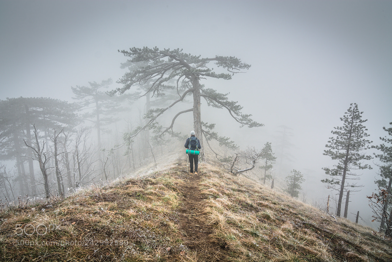 Nikon D7100 sample photo. Foggy day photography