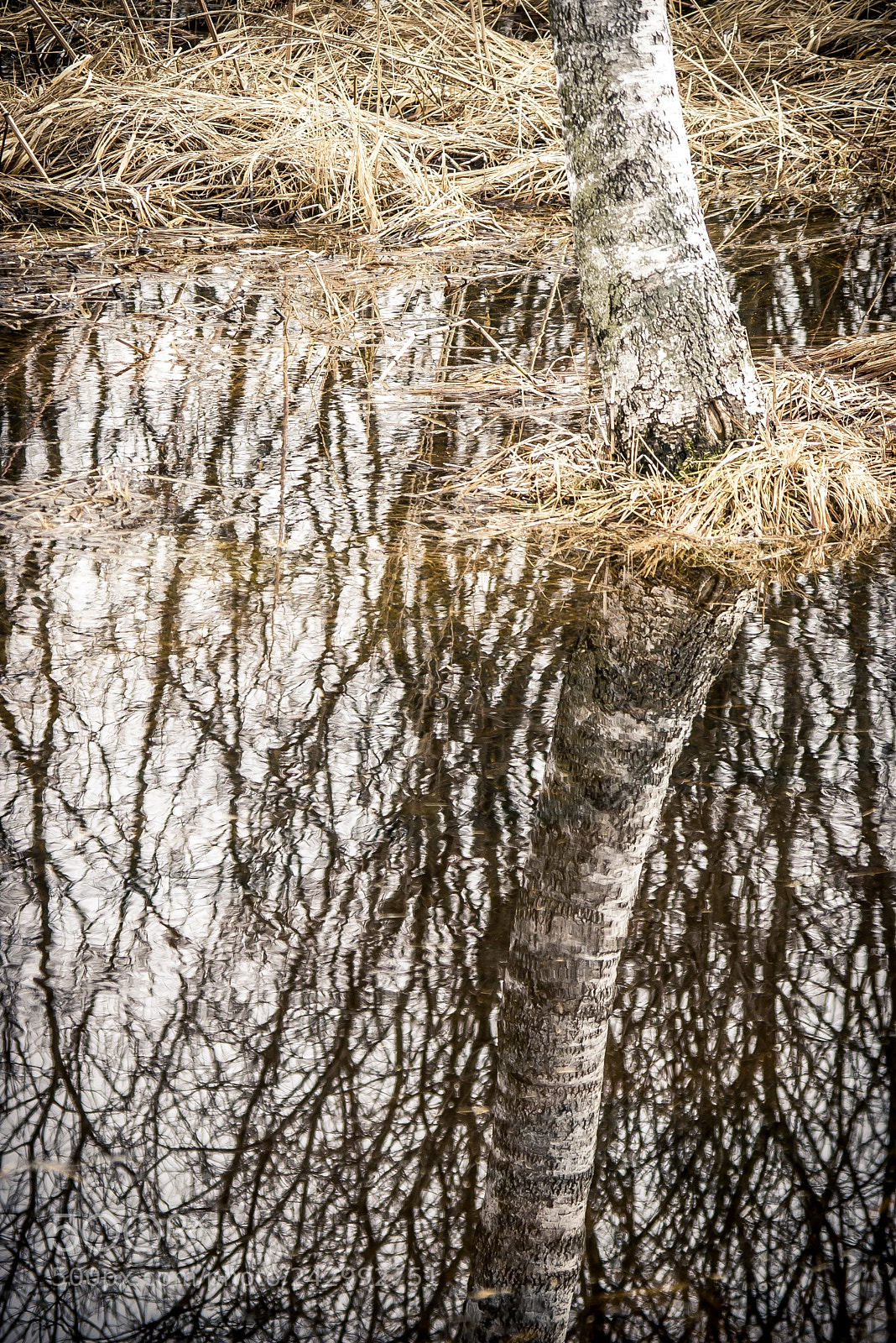 Pentax K100D sample photo. Flooding photography