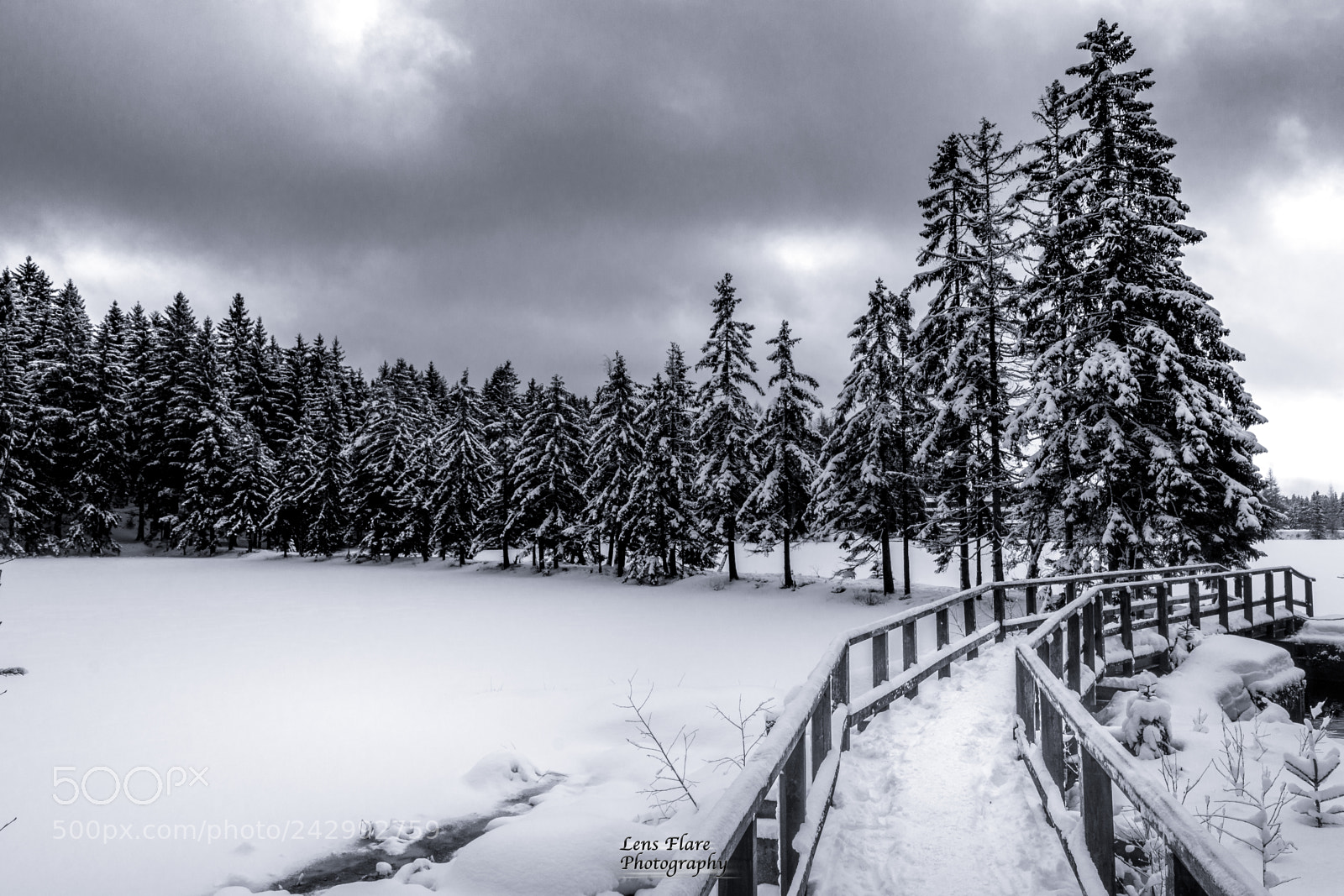 Nikon D7200 sample photo. Winterscape at the lake photography